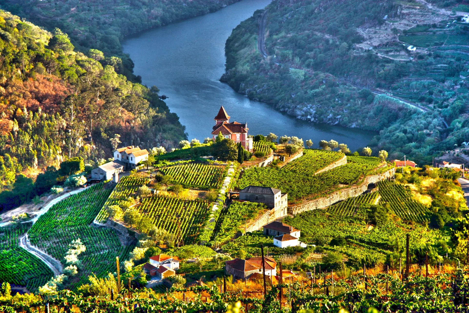 Groene wijngaarden in de Dourovallei bij Porto, met terrasvormige hellingen langs de rivier, een iconisch landschap van Portugal dat bekendstaat om wijnbouw en riviercruises.
