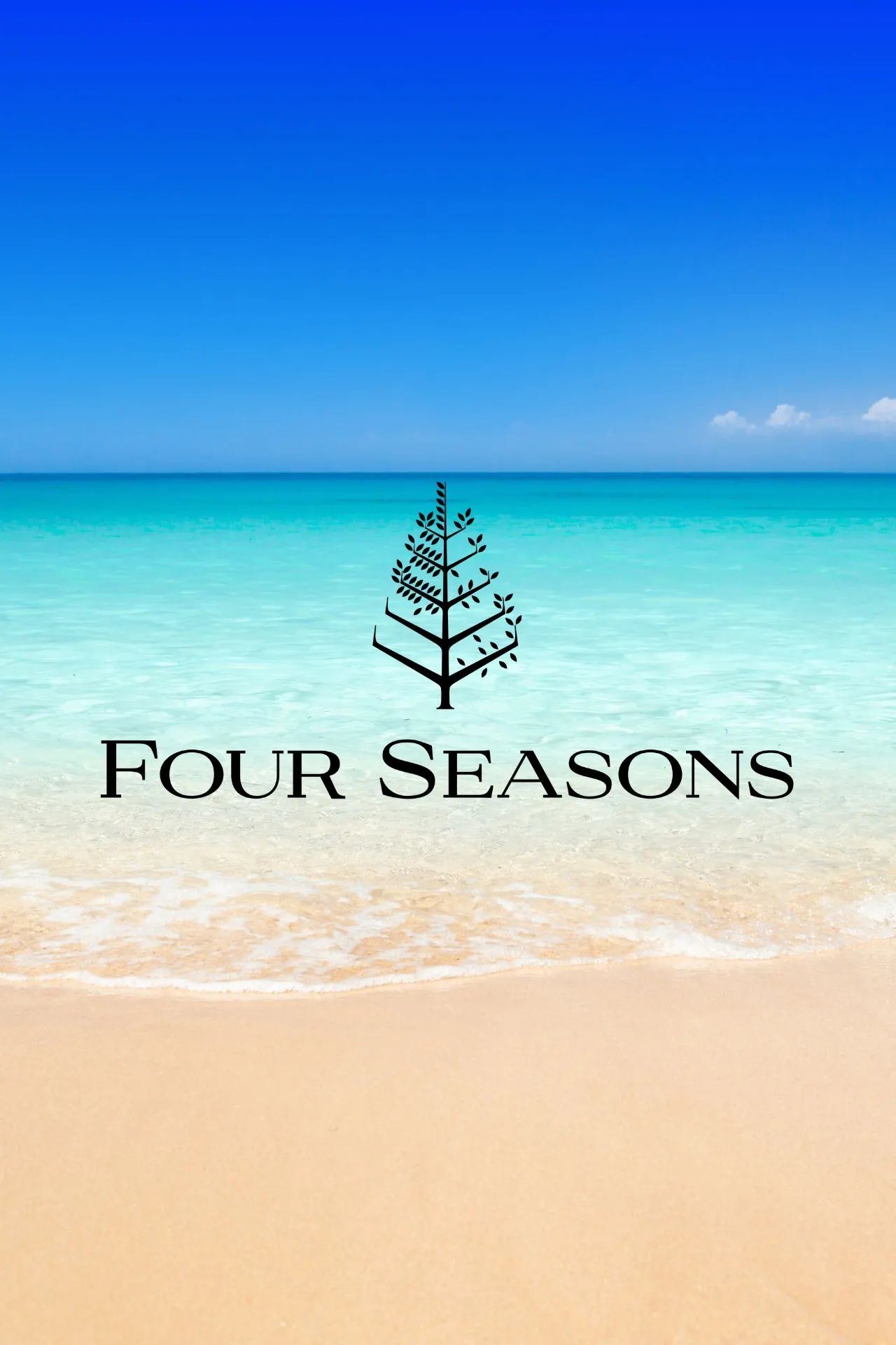 Het logo van Four Seasons Hotels & Resorts, een gestileerde boom, staat centraal op een tropische strandachtergrond met helderblauw water en een heldere lucht. Boek Four Seasons-hotels bij Travelcenter de Wit.