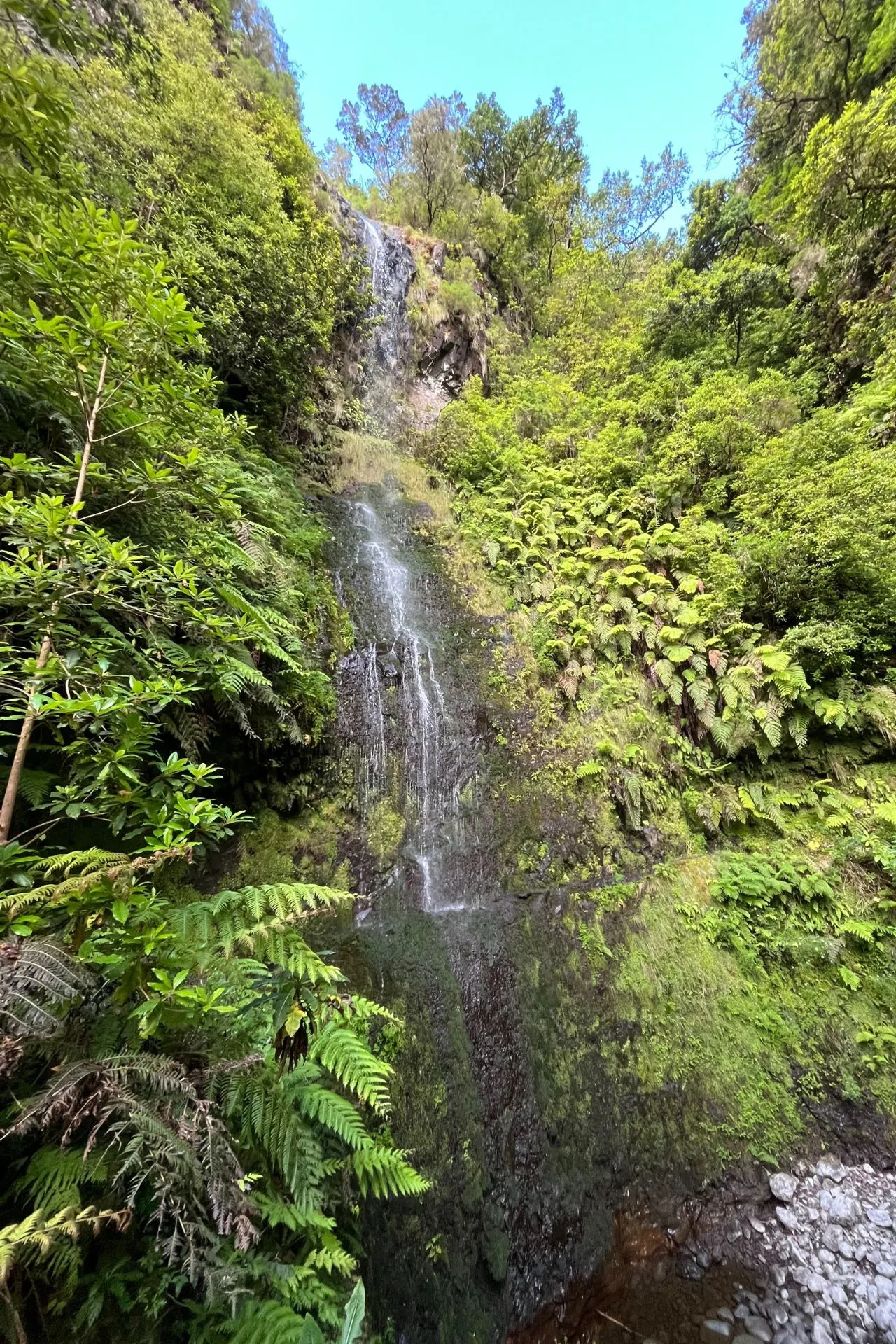 Hoge waterval omgeven door weelderige groene vegetatie in het berglandschap van Madeira.