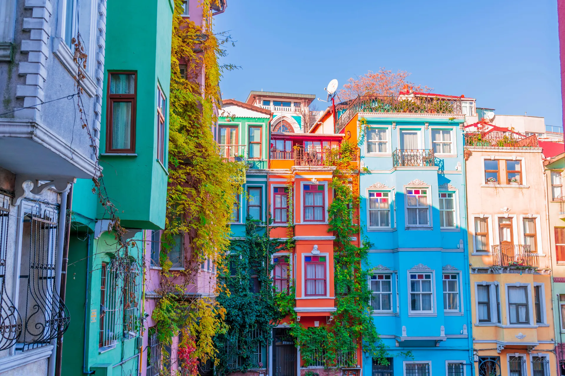 Kleurrijke historische huizen in de wijk Balat in Istanbul, Turkije, met felgekleurde gevels in blauw, groen en oranje, omgeven door klimop en traditionele architectuur. Schilderachtige straat vol charme en cultuur, ideaal voor fotografie, stedentrips en het ontdekken van verborgen parels. Ontdek Turkse geschiedenis, authentieke wijken, architectonische details en levendige kleuren in Istanbul.