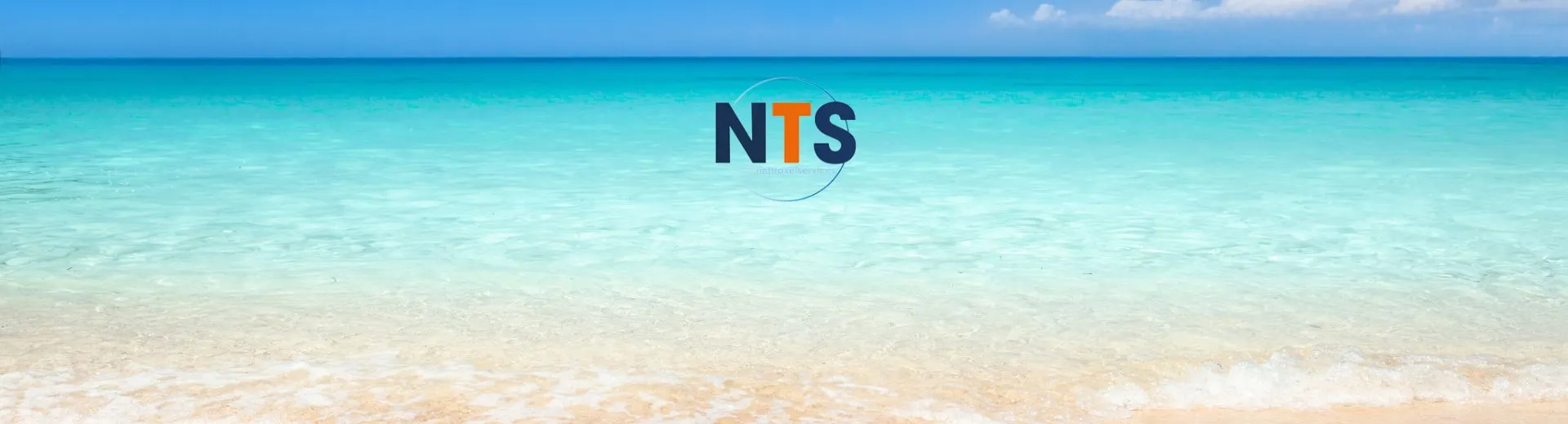 Achtergrond Net Travel Services