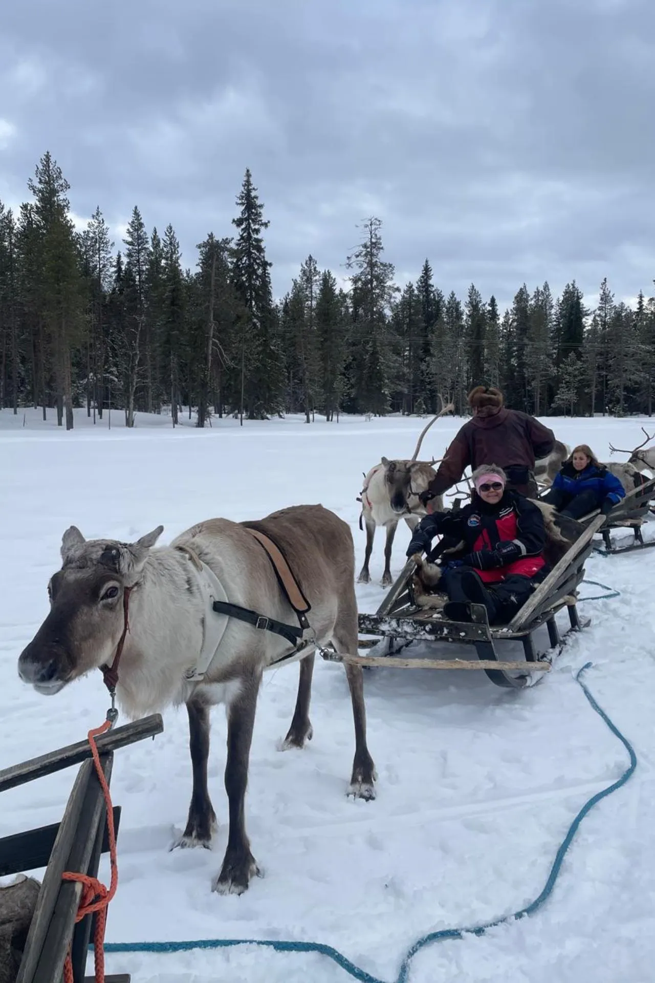 Meerdere mensen in traditionele rendiersleeën, getrokken door rendieren, tijdens een tocht door de besneeuwde natuur van Lapland