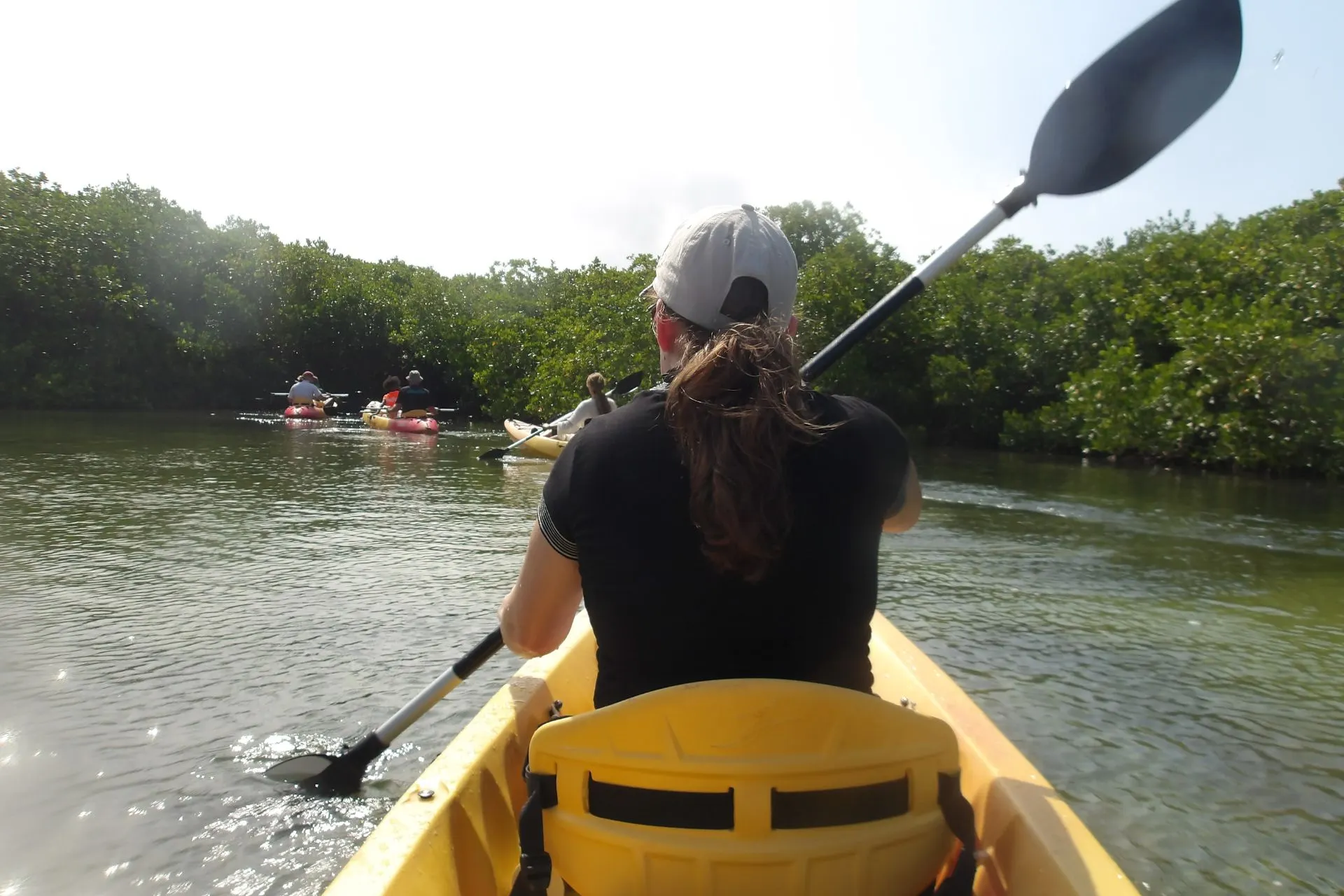 Kajaktocht door de mangroven van Bonaire, omringd door groen en kalm water. Deze activiteit is populair bij toeristen die het unieke ecosysteem van het eiland willen ontdekken. Bonaire staat bekend om zijn duurzame ecotoerisme, snorkel- en duikmogelijkheden, en avontuurlijke excursies zoals kajakken. De mangroven vormen een belangrijk natuurgebied dat bijdraagt aan de biodiversiteit van het eiland, ideaal voor natuurliefhebbers en actieve reizigers.
