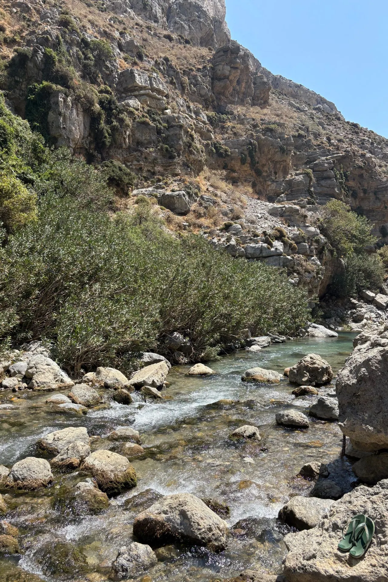 Kabbelende rivier tussen rotsen en struiken in een bergachtige kloof met ruige rotswanden en zonlicht dat op het water weerkaatst.