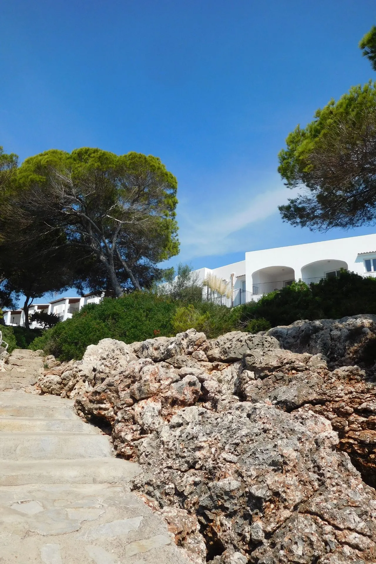 Rotsachtige kust met mediterrane pijnbomen en witte appartementen in Cala d’Or op Mallorca, onder een heldere blauwe lucht. Deze charmante badplaats is geliefd om zijn pittoreske baaitjes, wandelpaden en luxe accommodaties. Perfect voor een ontspannen vakantie, genieten van zon en zee, en het ontdekken van de natuurlijke schoonheid van Mallorca.