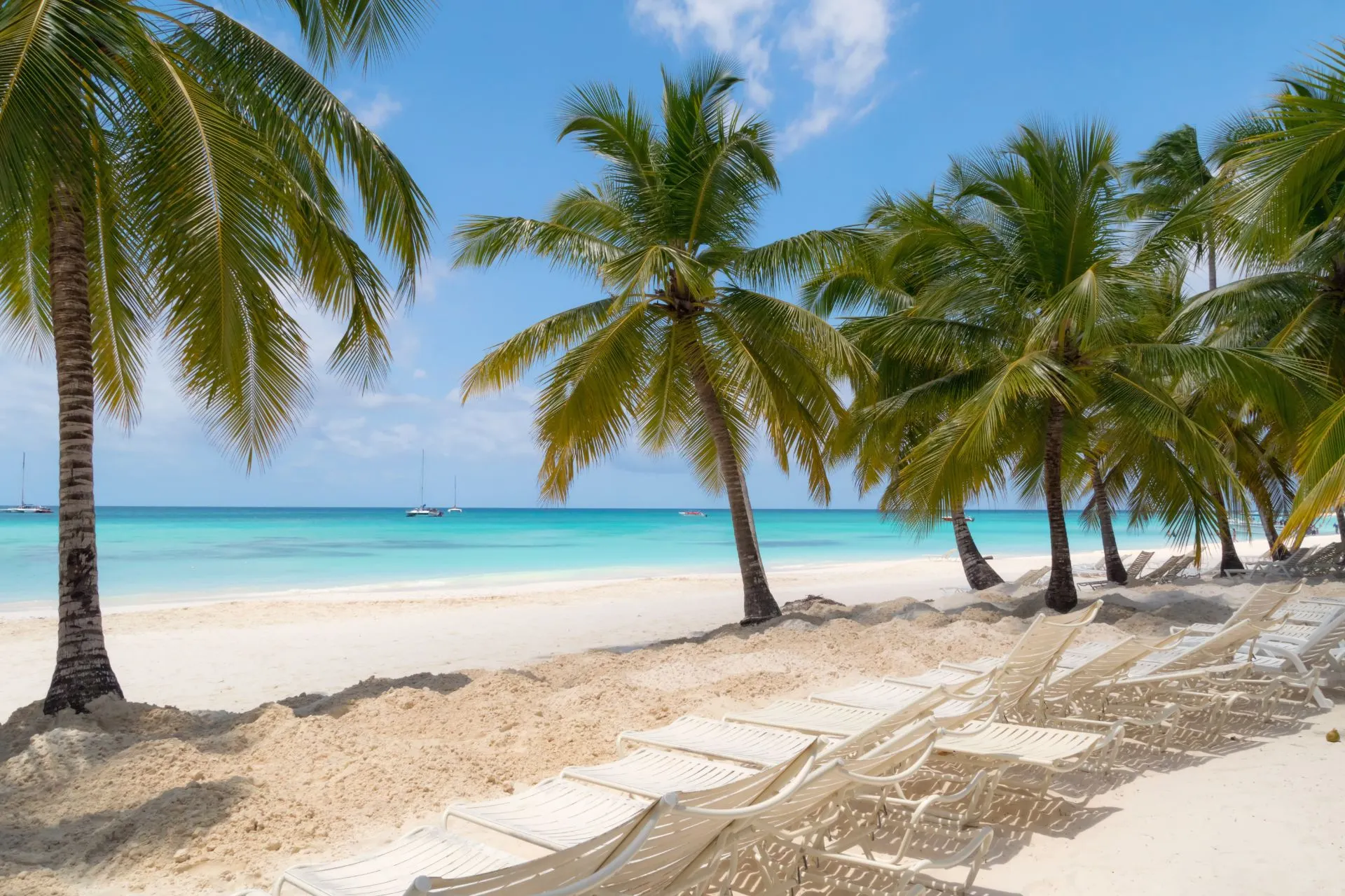 Palmbomen die zachtjes wuiven boven een ongerept zandstrand op Saona Island, Dominicaanse Republiek. 