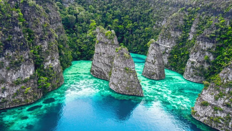 Een scène in Oceanië met een rotsformatie die uit de zee oprijst, omringd door helder blauw water. Op de achtergrond is een dicht, groen bos zichtbaar, dat contrasteert met de ruwe rotsen en de kalme zee ervoor.