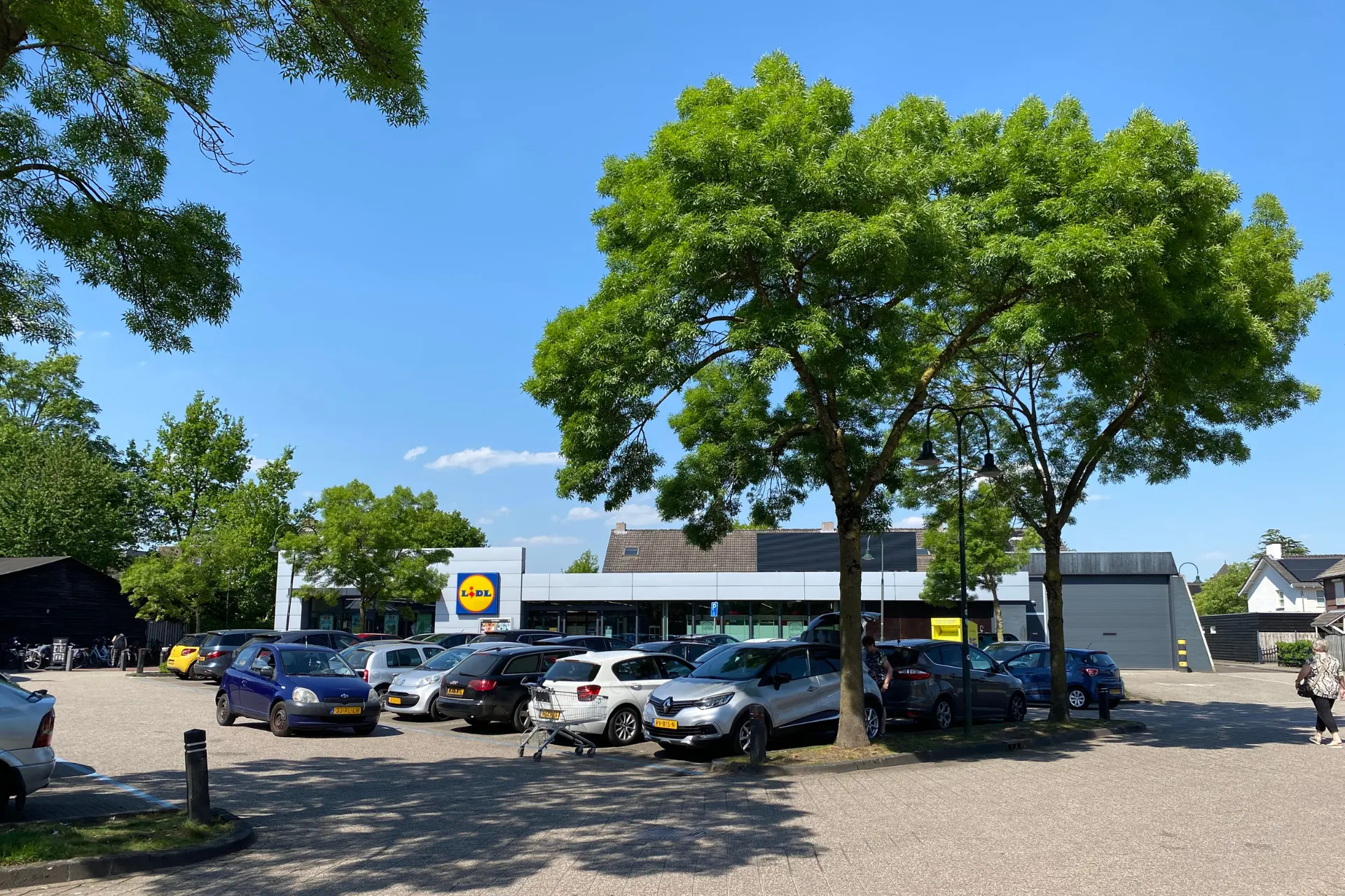 Parkeerplaats bij de Lidl in Gemert, met meerdere bomen verspreid over het terrein.