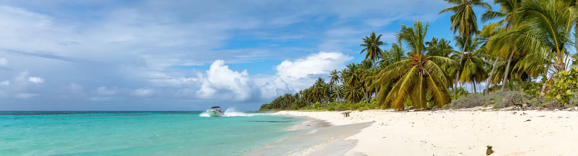 Tropisch strand in het Caribisch gebied met witte zandstranden, palmbomen en helderblauw zeewater, een populaire bestemming voor luxe cruises en zonvakanties langs eilanden zoals Aruba, Curaçao en de Bahama’s.
