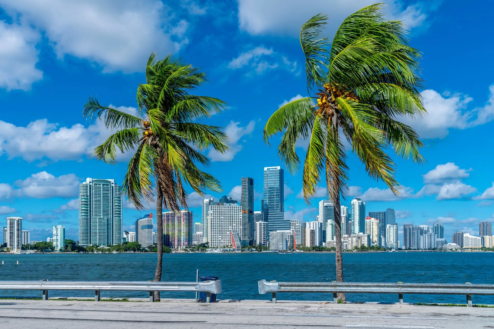 Uitzicht op de skyline van Miami vanaf Mid Beach, met palmbomen op de voorgrond en helderblauwe lucht boven de stad.