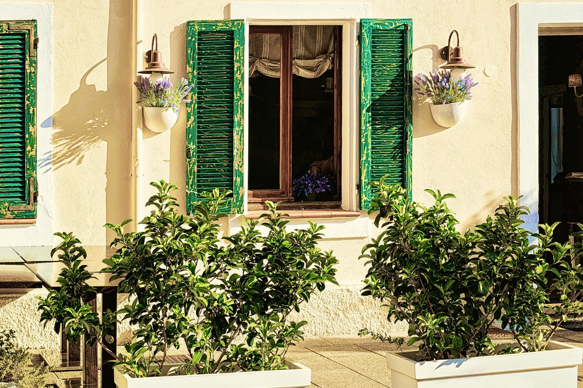 Sardinië Olbia huisje met groene luiken en planten