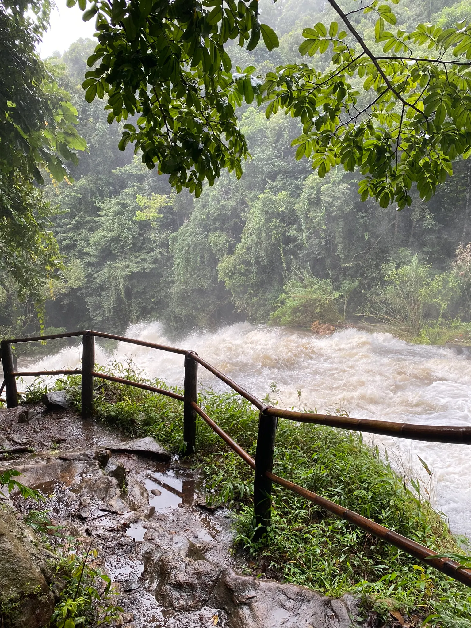 Doi Inthanon National Park tijdens een rondreis door Thailand