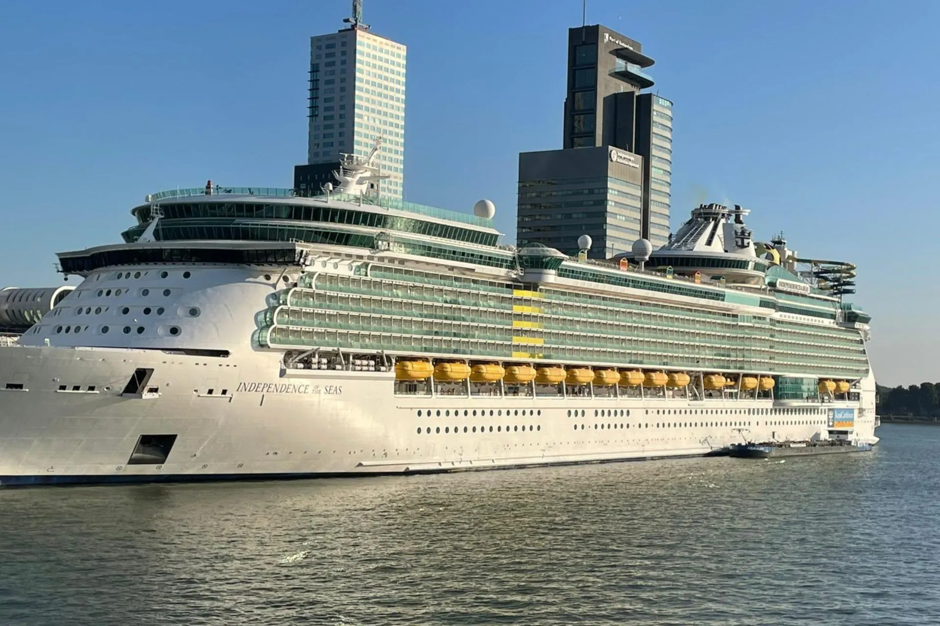 Grote witte cruiseship Independence of the Seas van Royal Caribbean aan de kade in Rotterdam, met moderne kantoorgebouwen op de achtergrond.