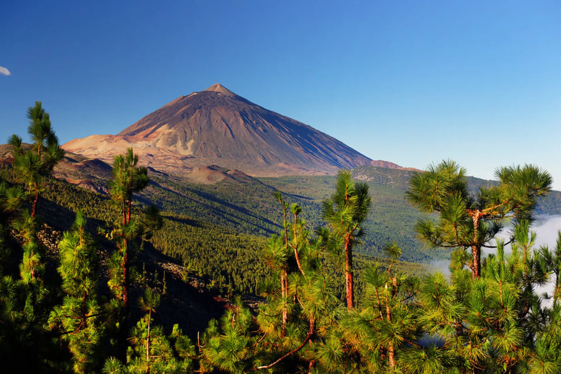 De indrukwekkende vulkaan Teide op Tenerife, het hoogste punt van de Canarische Eilanden, onder een heldere blauwe lucht.
