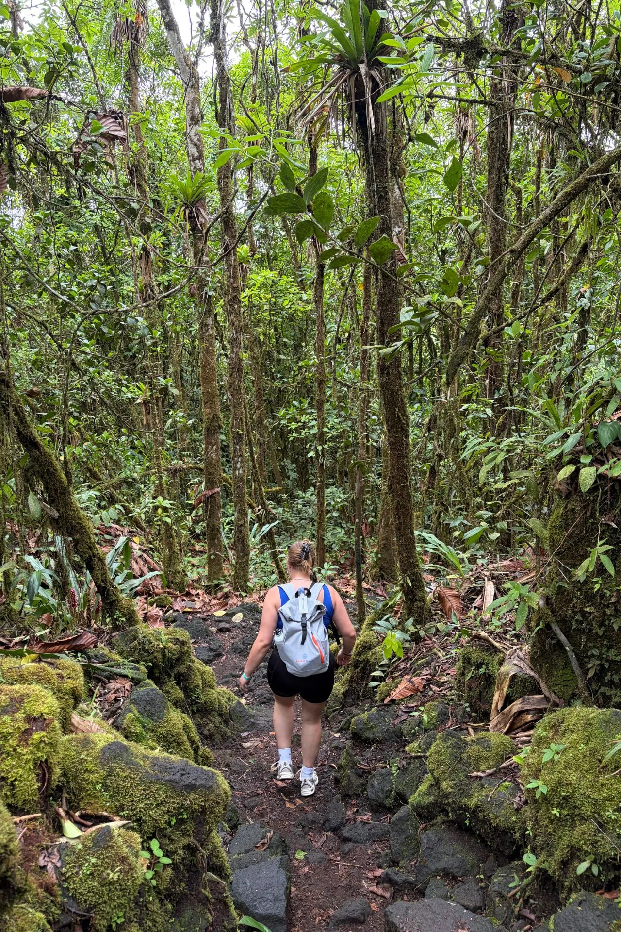 Wandelaars trekken door het weelderige regenwoud rondom de Arenal-vulkaan in Costa Rica. Deze regio staat bekend om haar tropische natuur, wandelroutes, bijzondere dieren en indrukwekkende vulkanische landschappen.