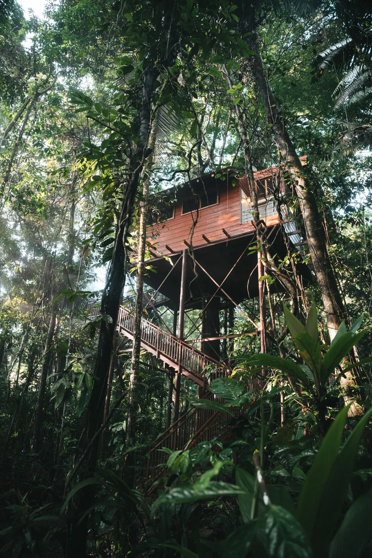 Buitenkant van een boomhut in een weelderige tropische jungle, met houten trappen die omhoog leiden.