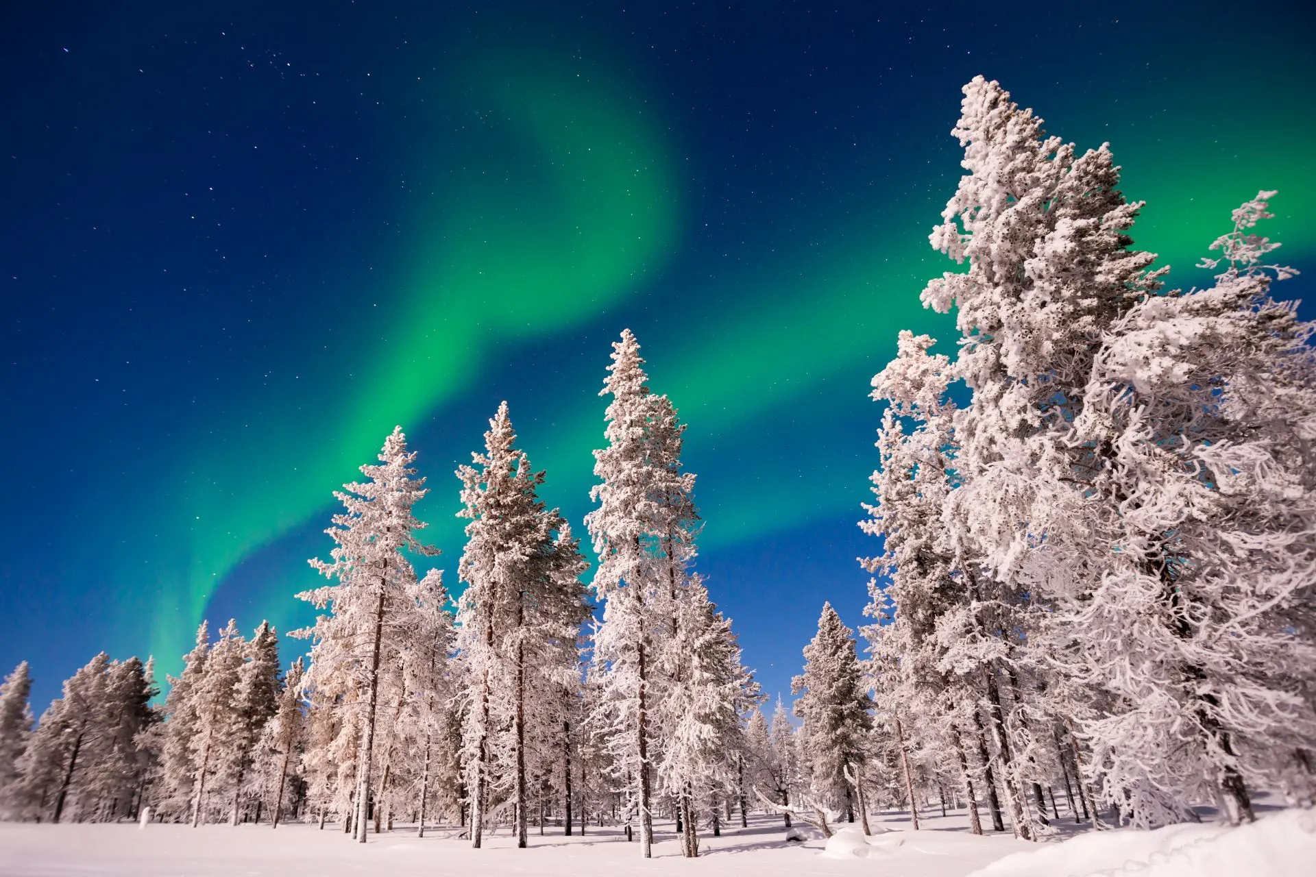 Betoverend winterlandschap in Lapland met besneeuwde bomen en het noorderlicht dat de hemel verlicht. Ideaal voor wellness reizen en een digital detox vakantie, ver weg van de hectiek. Beleef een unieke offline vakantie in Europa en geniet van slow travel in een sprookjesachtige omgeving. Perfect om tot rust te komen en de stilte van de natuur te omarmen.