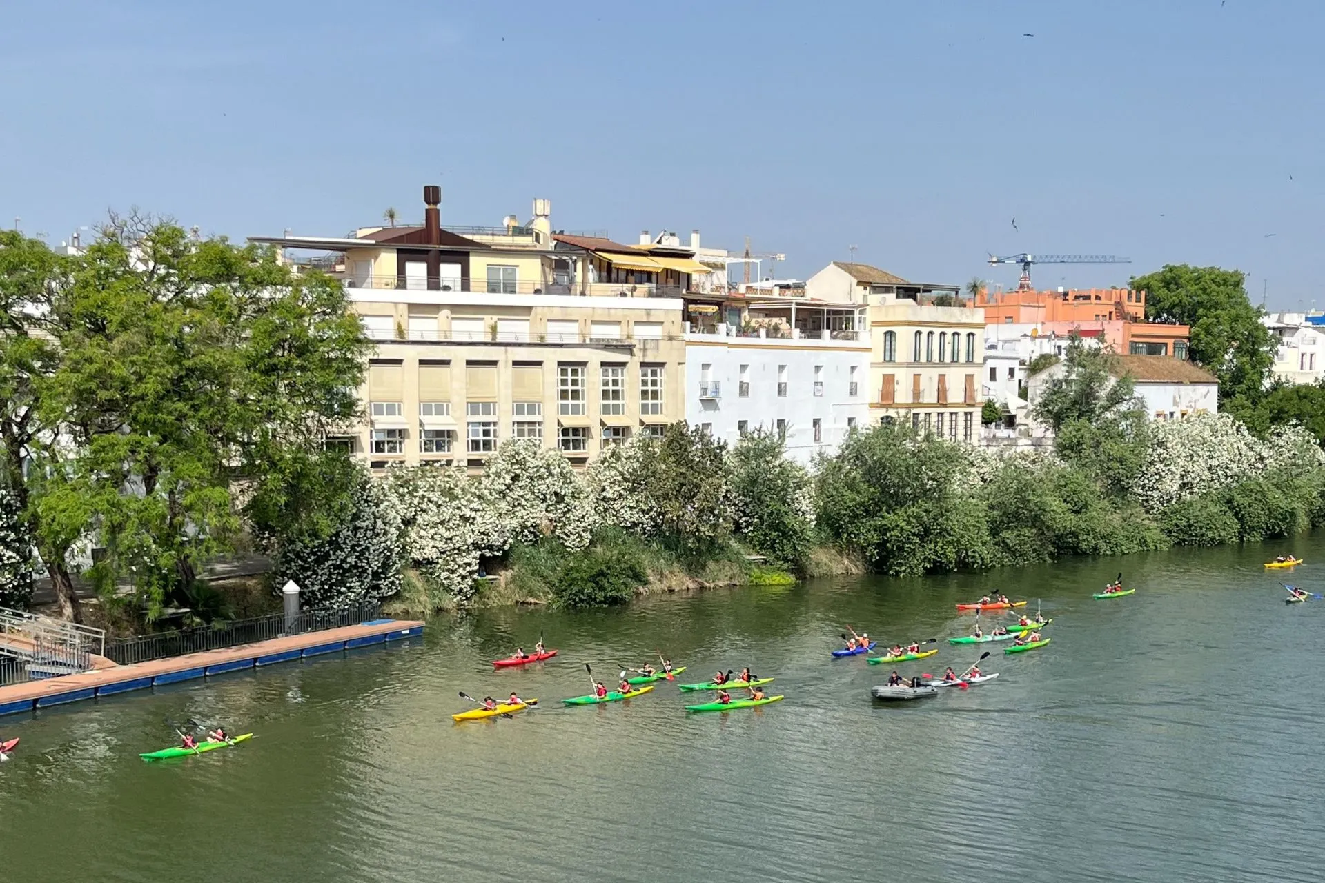 Kajakkers peddelen over de Guadalquivir in Sevilla met op de achtergrond pastelkleurige huizen van de wijk Triana. De oever is omzoomd met bloeiende struiken en bomen.