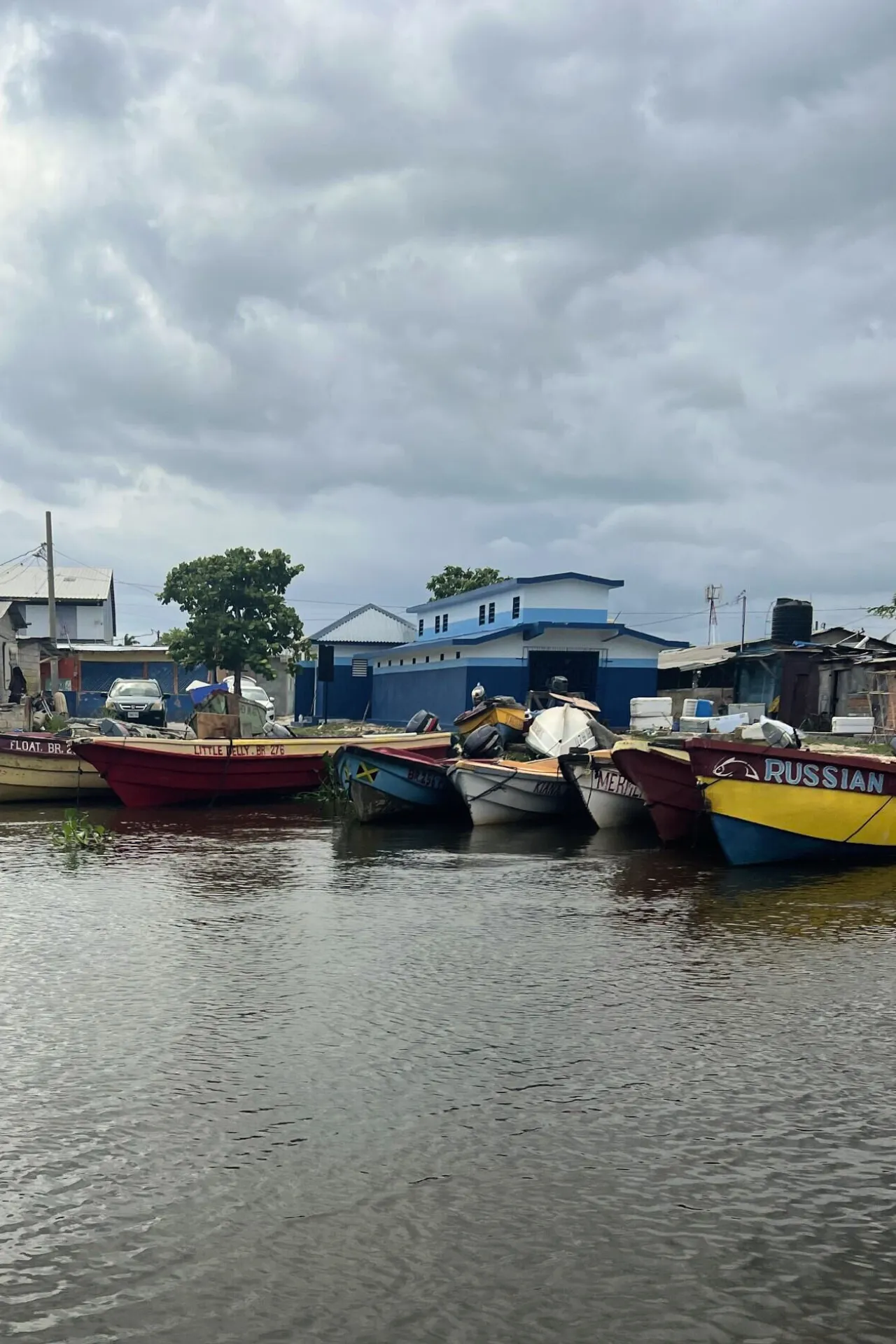 Vrolijke, felgekleurde bootjes rusten langs de waterkant van de Black River tijdens een safari.