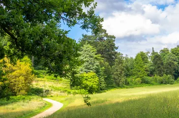 Wakehurst Place, West Sussex