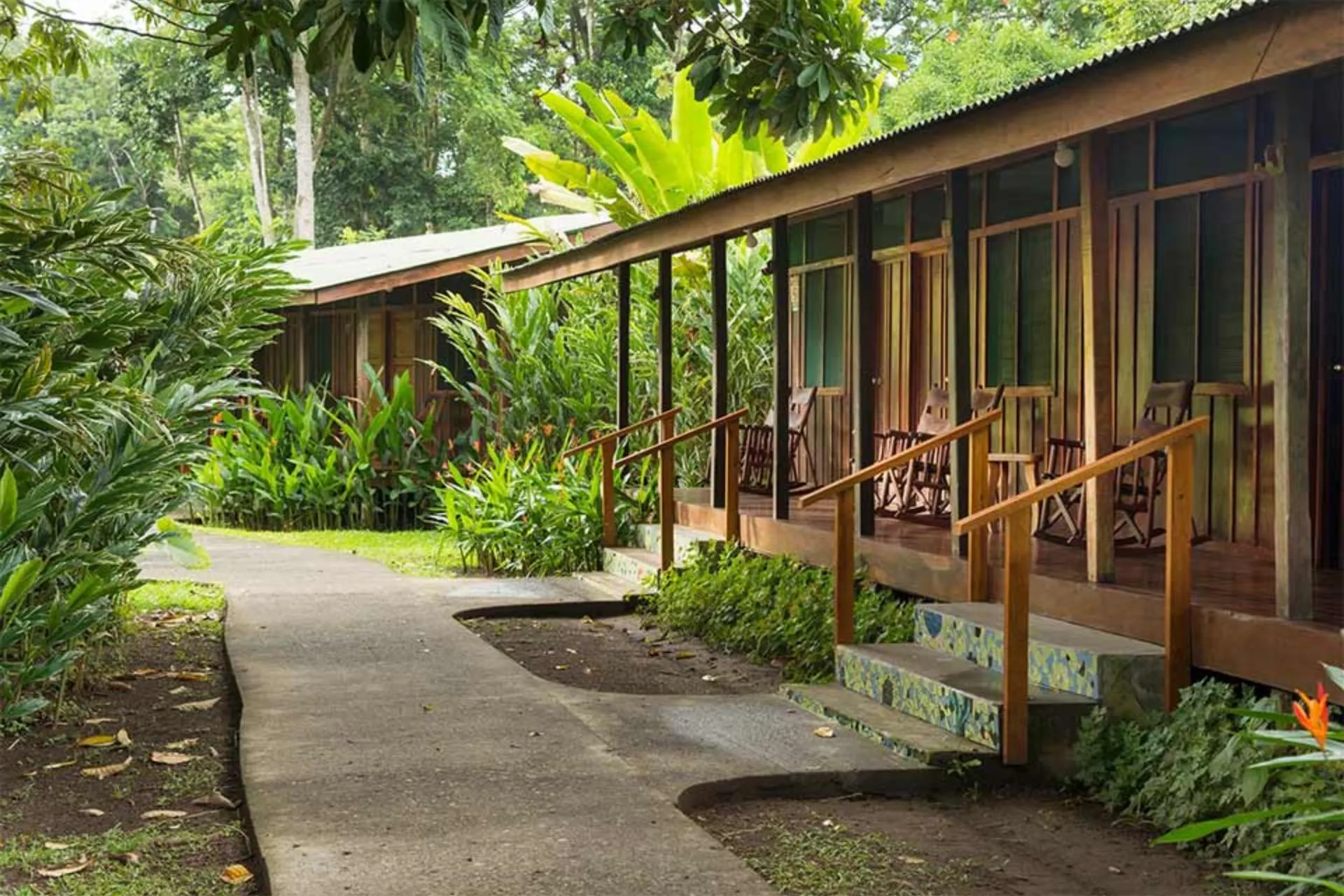 Bungalowkamers van Laguna Lodge in Tortuguero, Costa Rica. De kamers liggen verspreid tussen tropische planten en bieden een comfortabel verblijf midden in de ongerepte natuur van het nationale park.