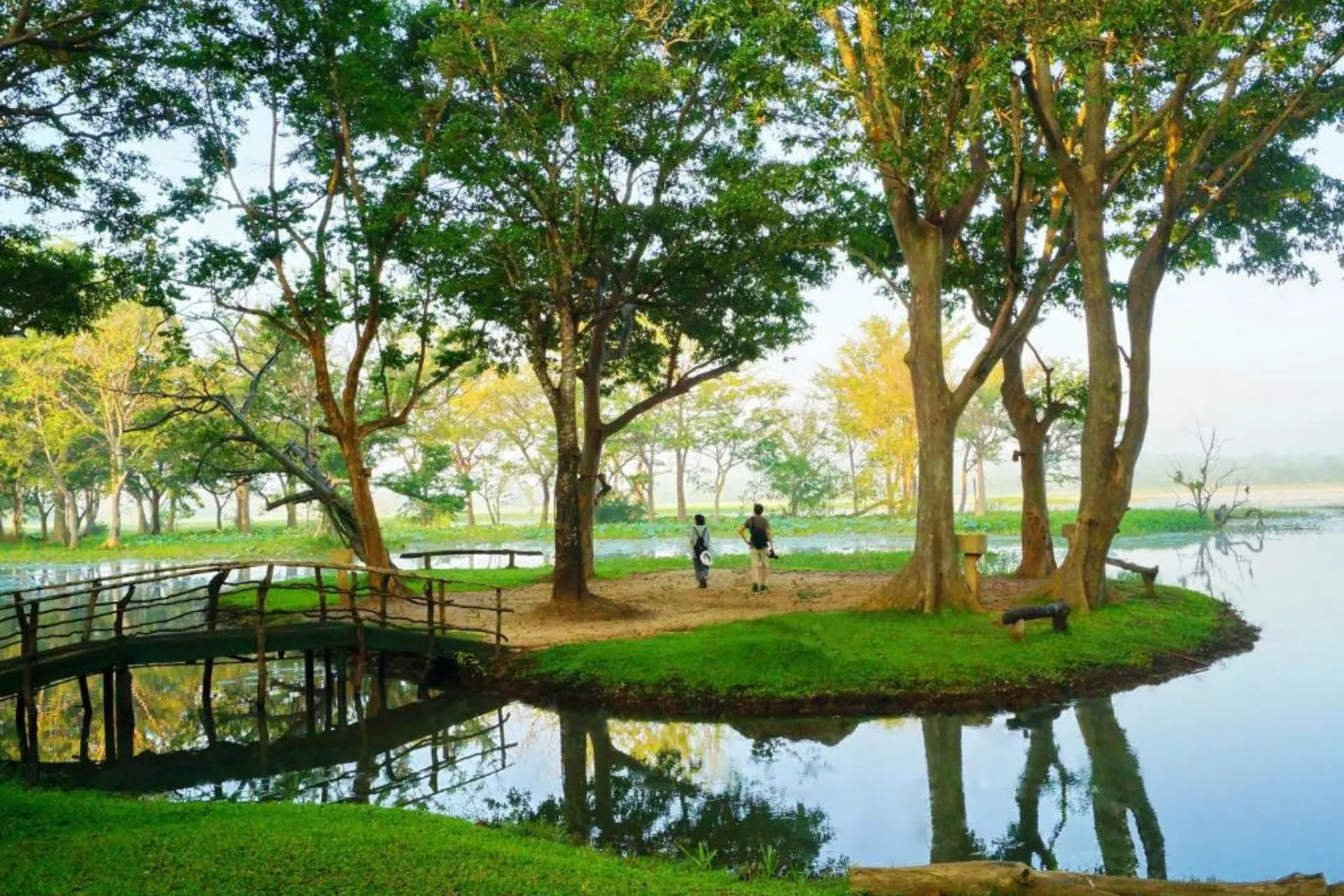 Rustige groene omgeving bij Cinnamon Lodge Habarana met een schilderachtig eilandje, een houten brug over het water en gasten die wandelen tussen de bomen bij het meer.