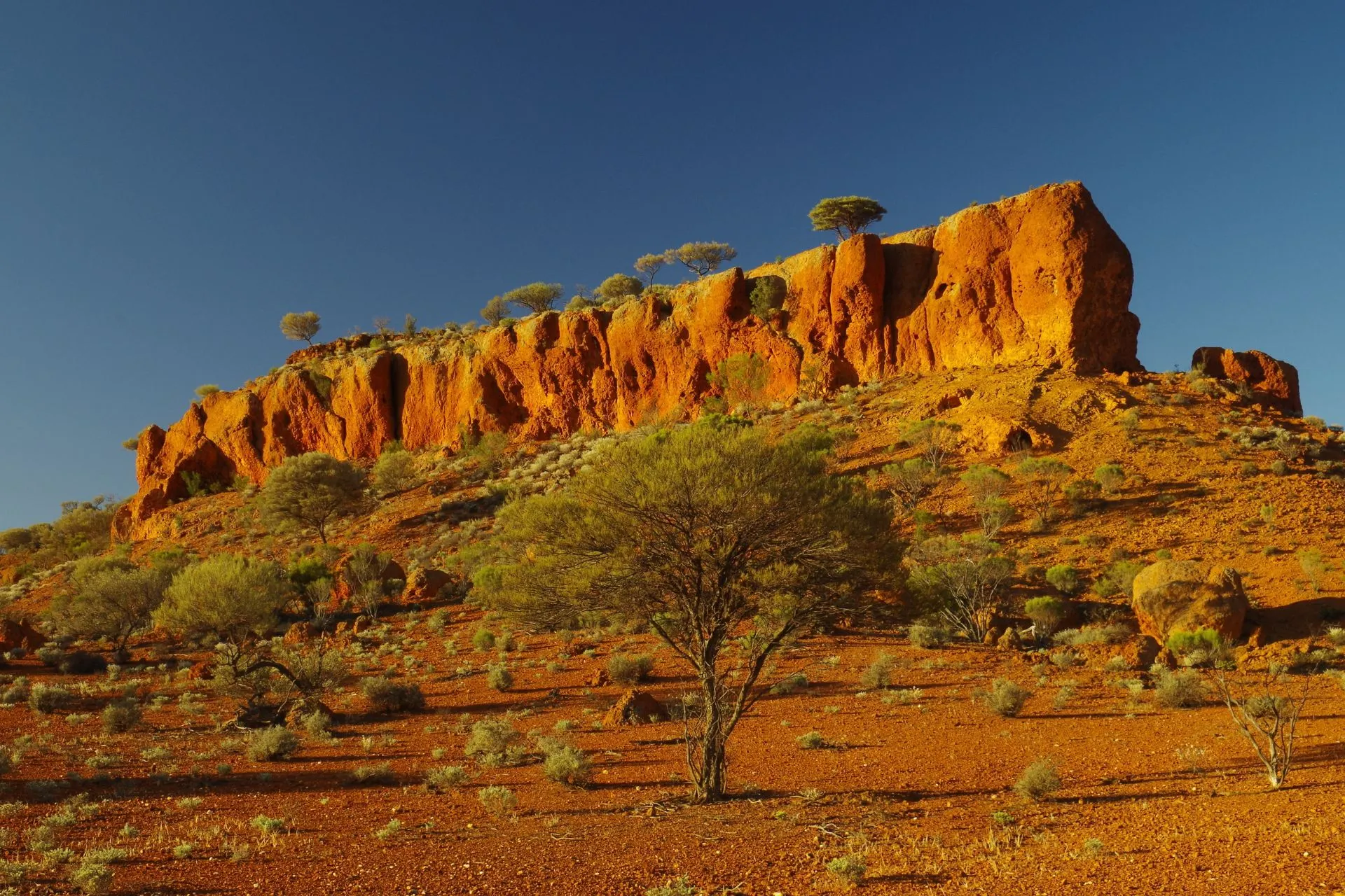 Rood woestijnlandschap met feloranje rotsformaties en lage struiken in de Australische Outback bij zonsondergang.