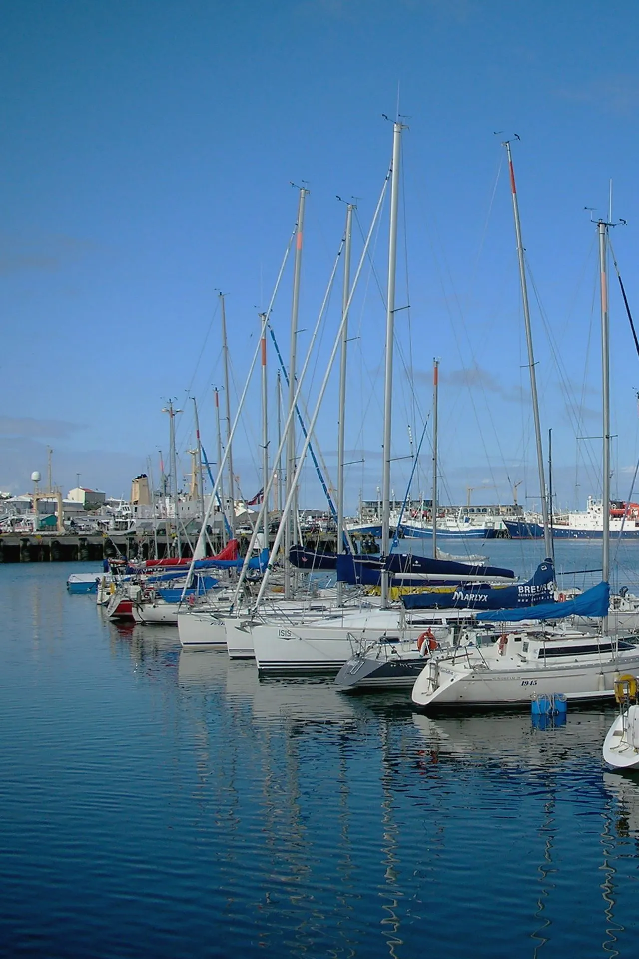 Haven van Reykjavik: Rijen zeilboten aangemeerd in de haven van Reykjavik, met een blauwe lucht en water dat de masten weerspiegelt.