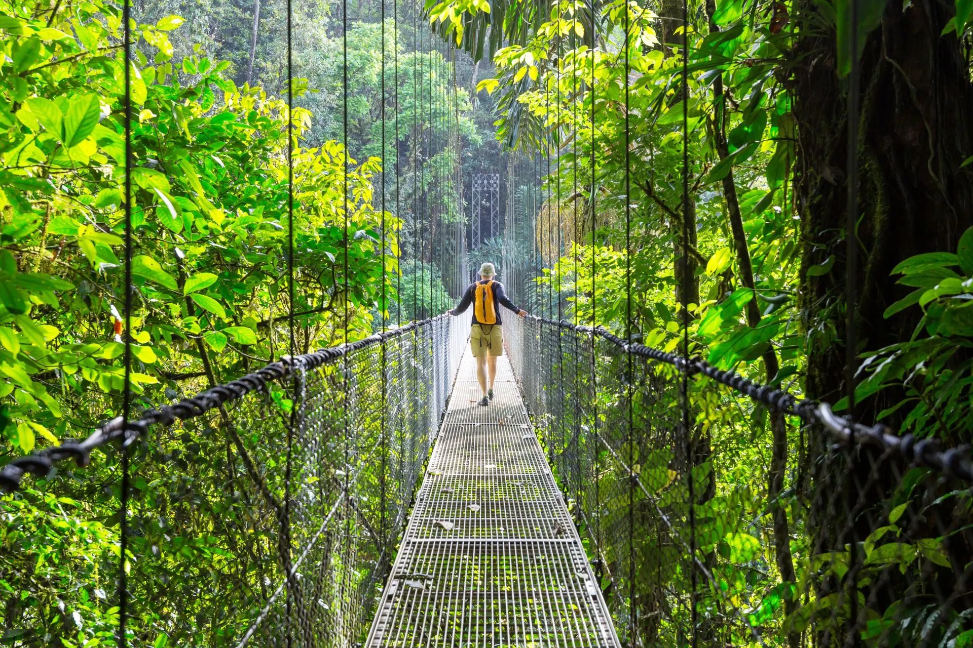 Actieve Sawadee rondreis door Costa Rica met wandeling over hangbrug in het regenwoud. Costa Rica is een populaire bestemming binnen de Sawadee groepsreizen. Tijdens deze rondreizen wandel je door het regenwoud, steek je hangbruggen over en ontdek je de rijke flora en fauna. De combinatie van natuur, cultuur en actieve excursies maakt deze reis perfect voor reizigers die graag buiten zijn en een land intensief willen ervaren.
