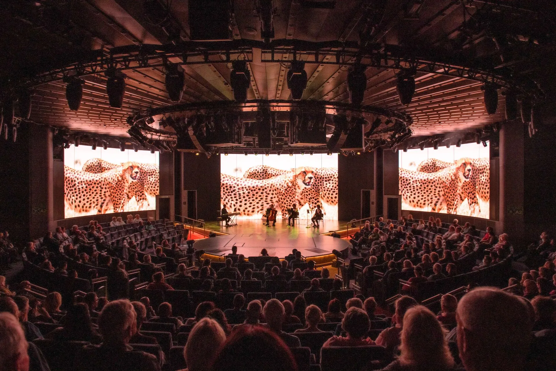 Wereldklasse entertainment in het World Stage theater van Holland America Line, met een BBC Earth-productie vol indrukwekkende natuurbeelden.

