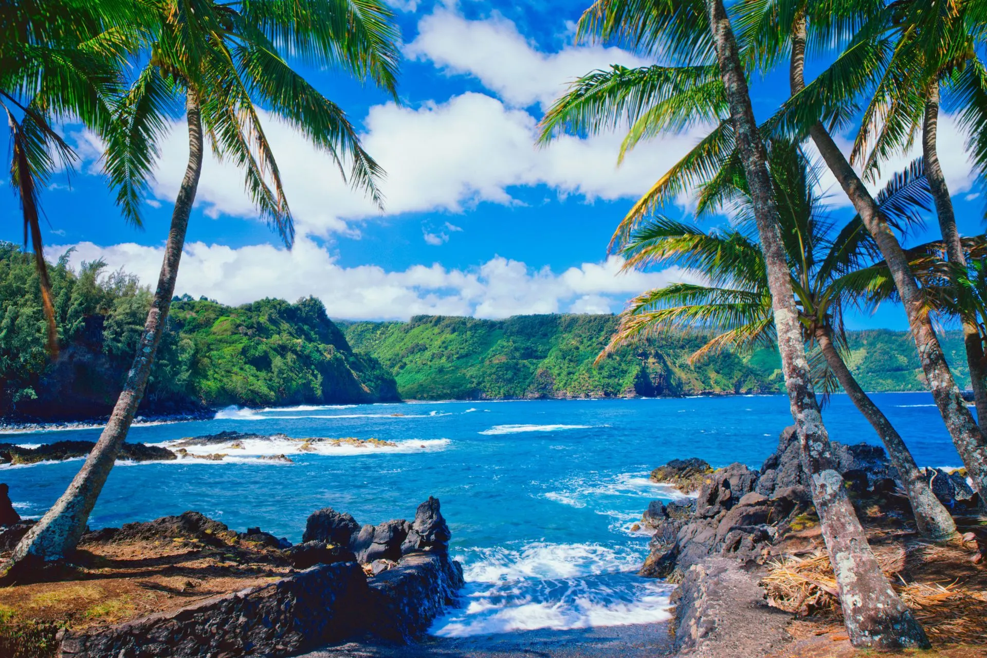 Schitterend uitzicht op de kust van Maui, Hawaii, met wuivende palmbomen, een helderblauwe oceaan en groene kliffen onder een bijna wolkeloze hemel.
