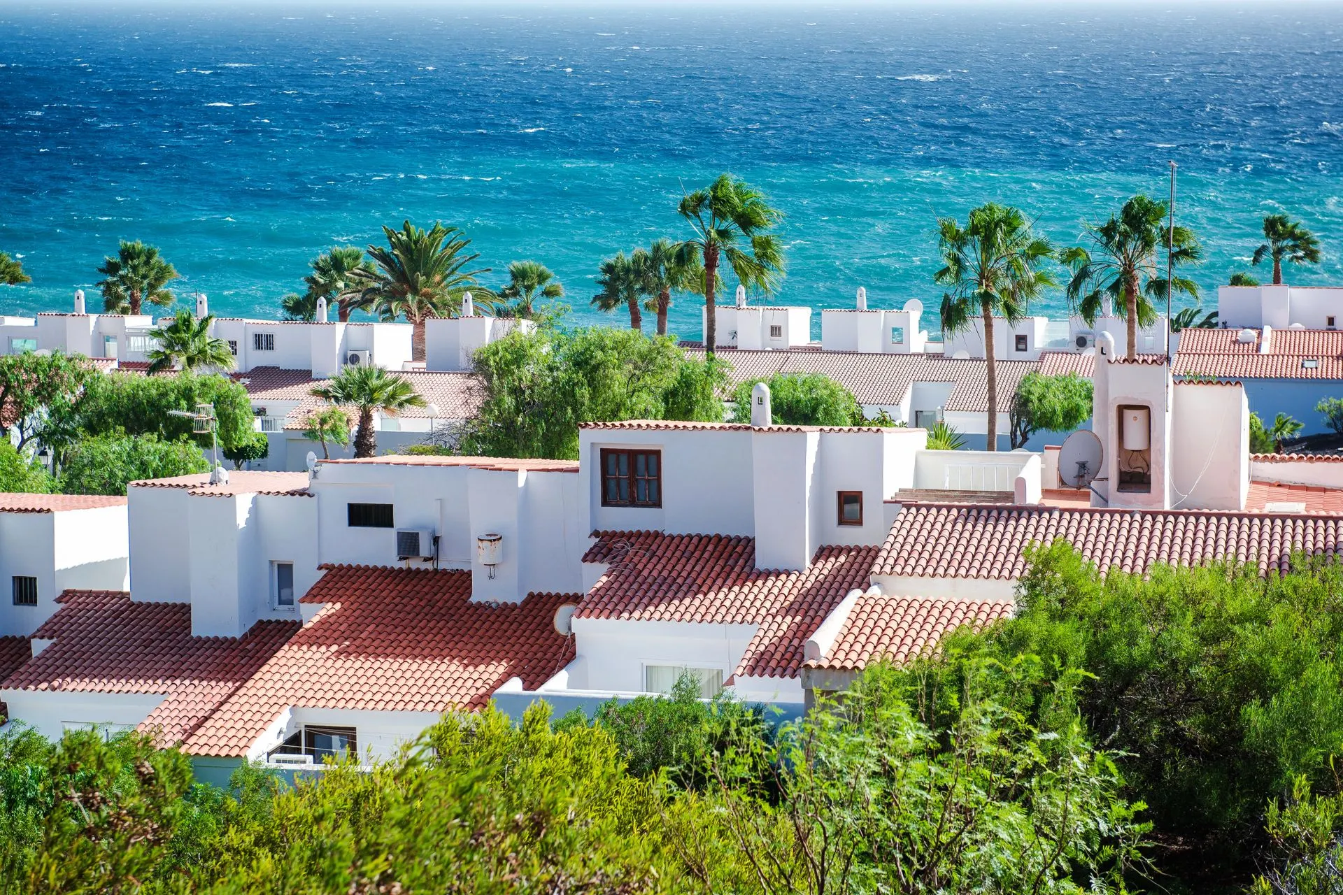 Witte vakantiehuizen met rode daken en palmbomen aan de kust van Tenerife, met op de achtergrond de diepblauwe Atlantische Oceaan en een frisse zeebries. Dit beeld straalt rust, zon en comfort uit en past perfect bij de gedachte aan een ontspannen Tenerife vakantie. Voor wie een Vakantie Tenerife boeken overweegt, toont deze omgeving hoe wonen, natuur en zee samenkomen in een prettige sfeer die ook veel ruimte biedt voor gezinnen en stellen.








