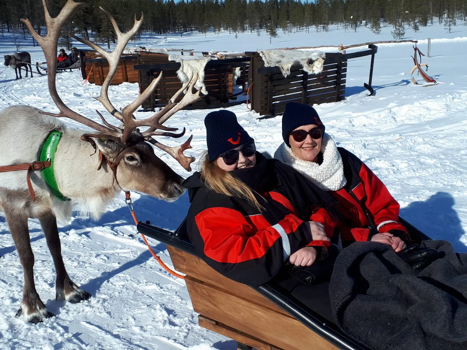 Leuke fotot van twee dames in een slee met een eland erachter, warm ingepakt want ze zijn in Lapland.