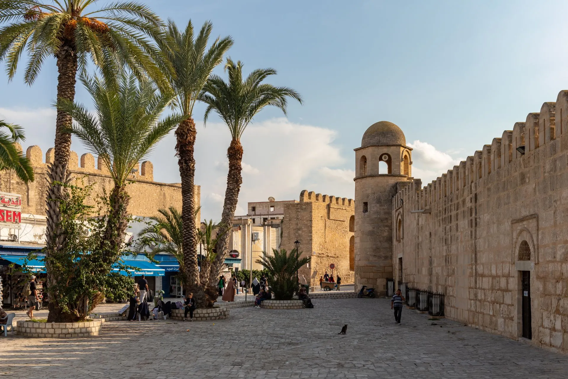 Historische stadsmuren en palmbomen in de medina van Sousse, een UNESCO Werelderfgoedlocatie aan de kust van Tunesië. Deze sfeervolle stad combineert eeuwenoude architectuur, levendige pleinen en een rijke geschiedenis. Sousse is een populaire bestemming voor reizigers die cultuur, stranden en authentieke sfeer willen combineren.