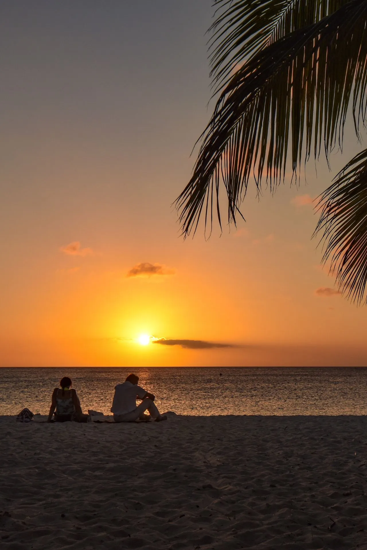 Zonsondergang op het strand van Curaçao met silhouetten van mensen aan de kust en palmbomen. Een typisch ontspannen moment tijdens een vakantie op dit veelzijdige eiland.