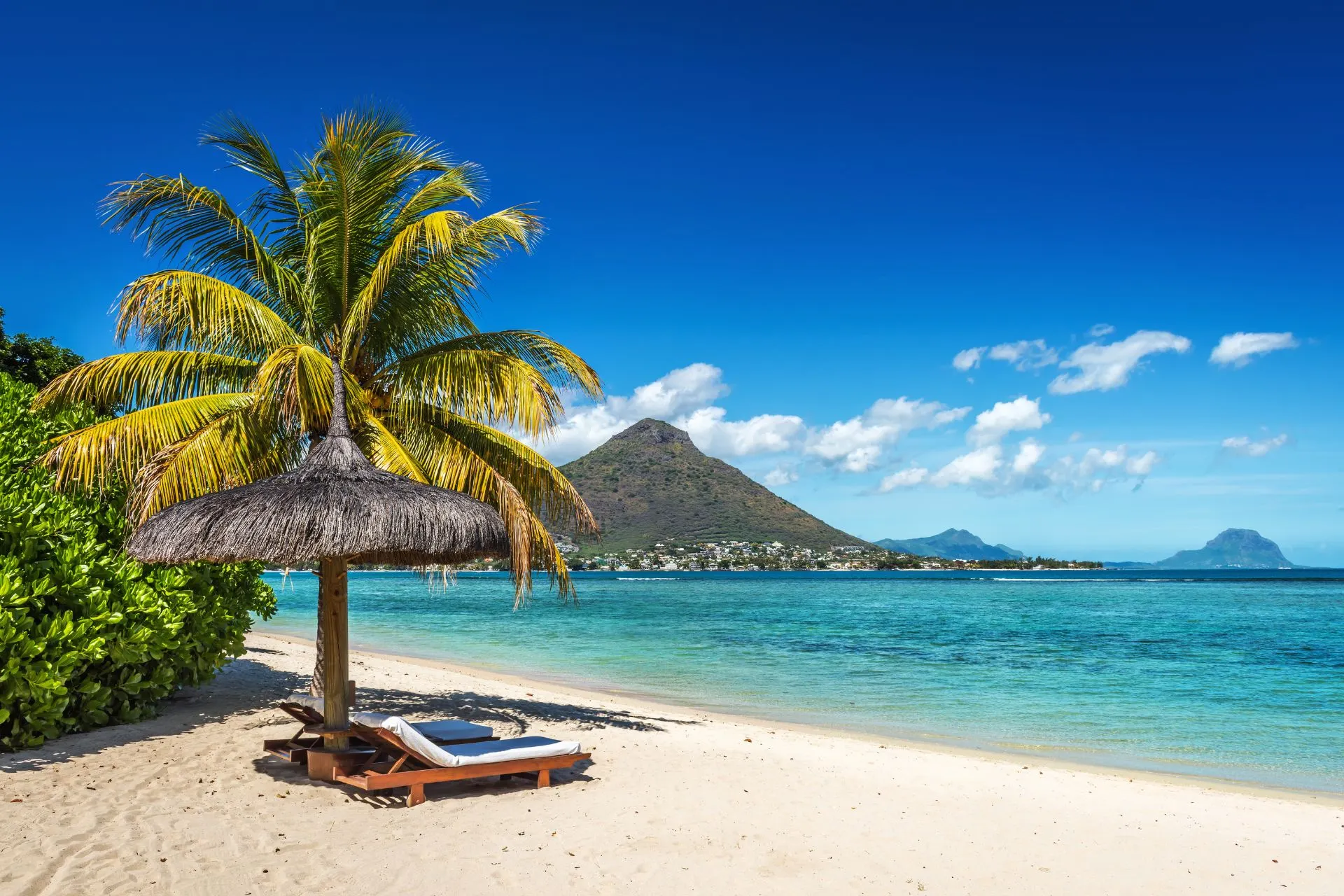 Uitzicht op een serene zandstrand met een rieten parasol en ligbed, omlijst door een wuivende palmboom en turquoise wateren.