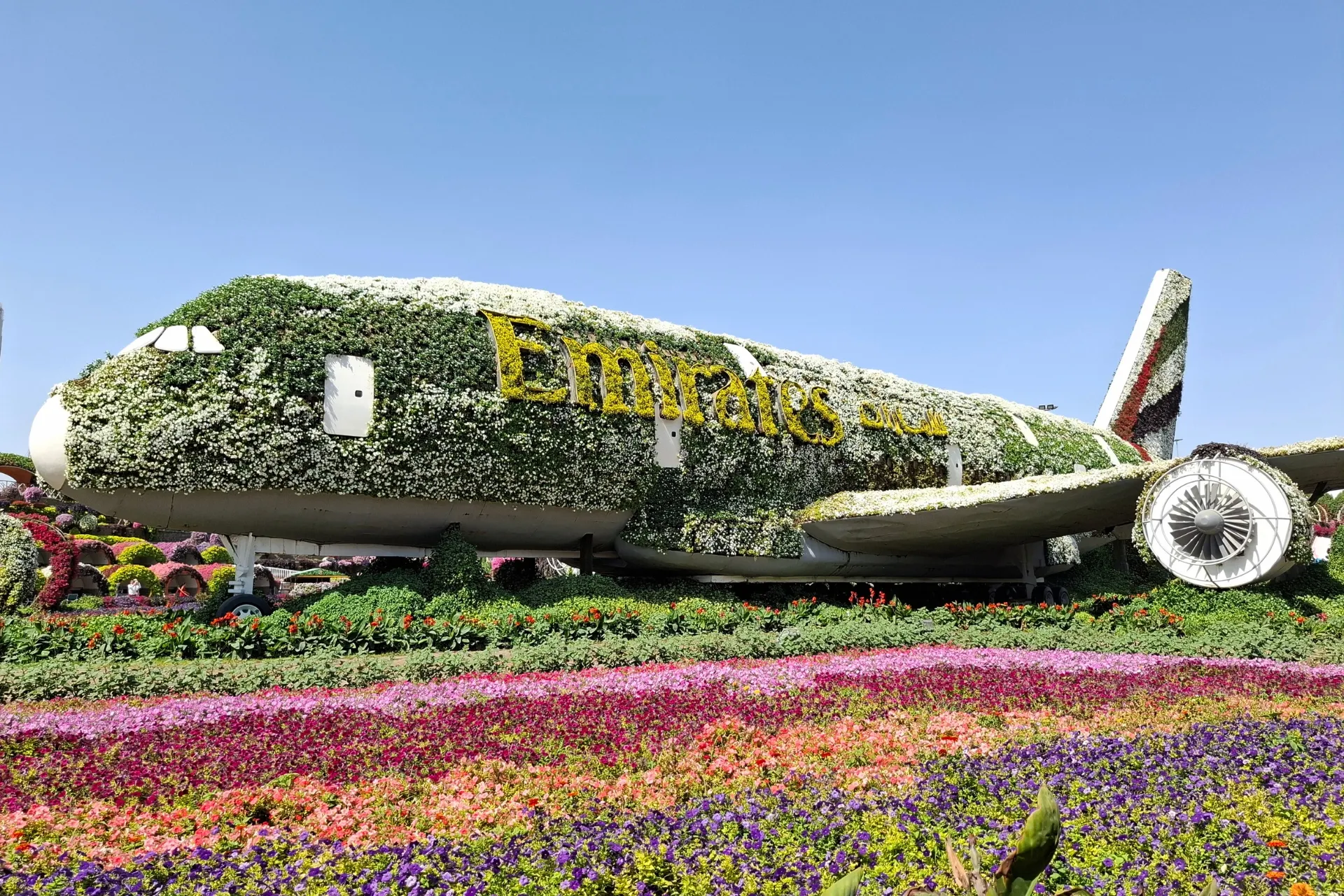 Bloemenvliegtuig in Dubai Miracle Garden, omgeven door kleurrijke bloemen, met het logo van Emirates op het vliegtuig.