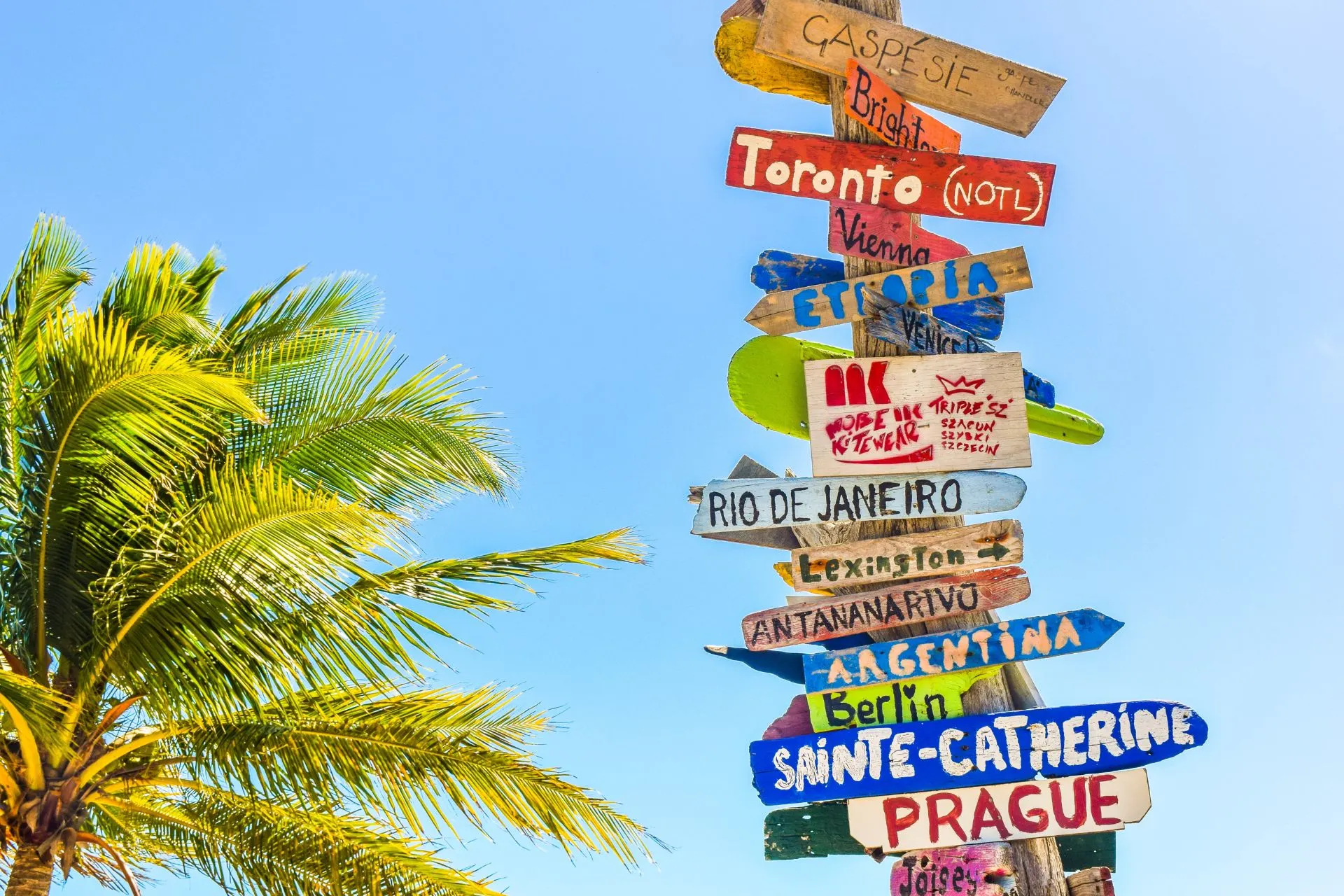 Kleurrijke houten wegwijzer op een zonnig strand met een palmboom en een strakblauwe lucht op de achtergrond.