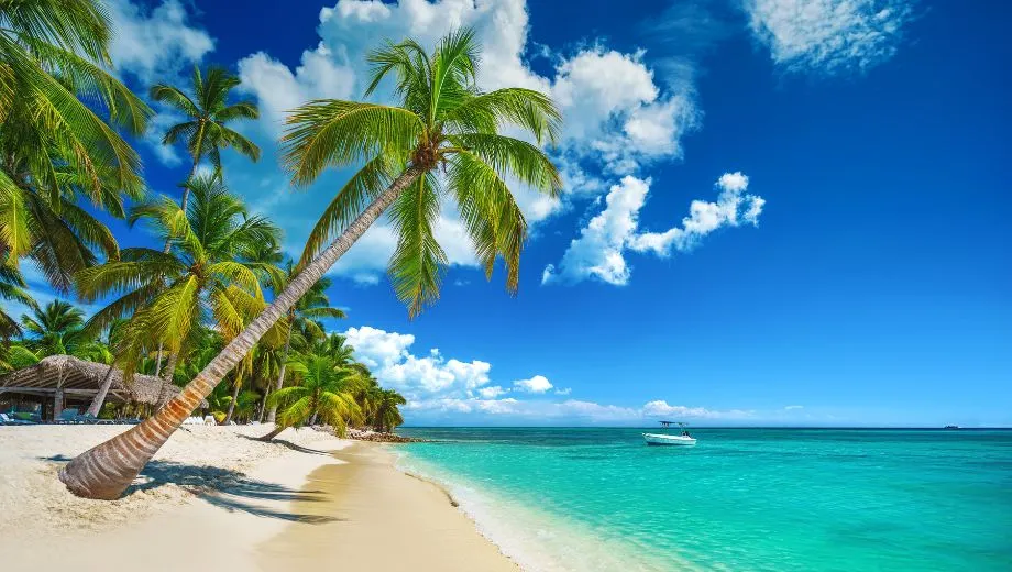 Tropisch strand met exotische palmbomen, helder water van de Caribische Zee en wit zand aan de kust van Playa Bavaro op Saona Island, Punta Cana, Dominicaanse Republiek