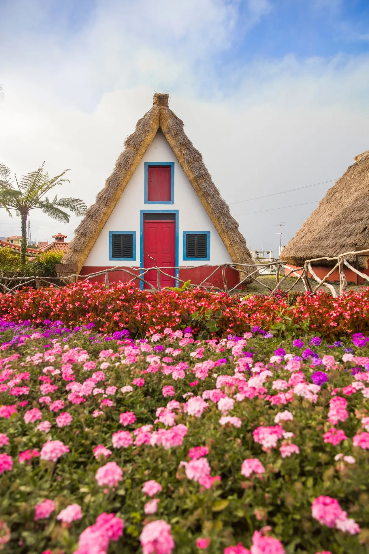 Charmant traditioneel huis met een rieten dak en felrode deur, omringd door een zee van roze en paarse bloemen. De lucht is helderblauw met lichte wolken, wat een zonnige en warme sfeer geeft. Dit beeld is typerend voor Madeira, een van de beste winterzon bestemmingen voor reizigers die op zoek zijn naar zon, natuur en cultuur. Terwijl in Europa de winter heerst, biedt deze plek een perfecte zonvakantie in december of een zonvakantie in januari, met aangename temperaturen en volop zon. Voor iedereen die zich afvraagt: waar is het warm in januari? Madeira is het antwoord. Ontdek waarom zoveel reizigers deze plek kiezen als een van de beste winterzon bestemmingen en plan jouw perfecte zonvakantie in december of januari op een locatie waar het altijd warm en gastvrij is.