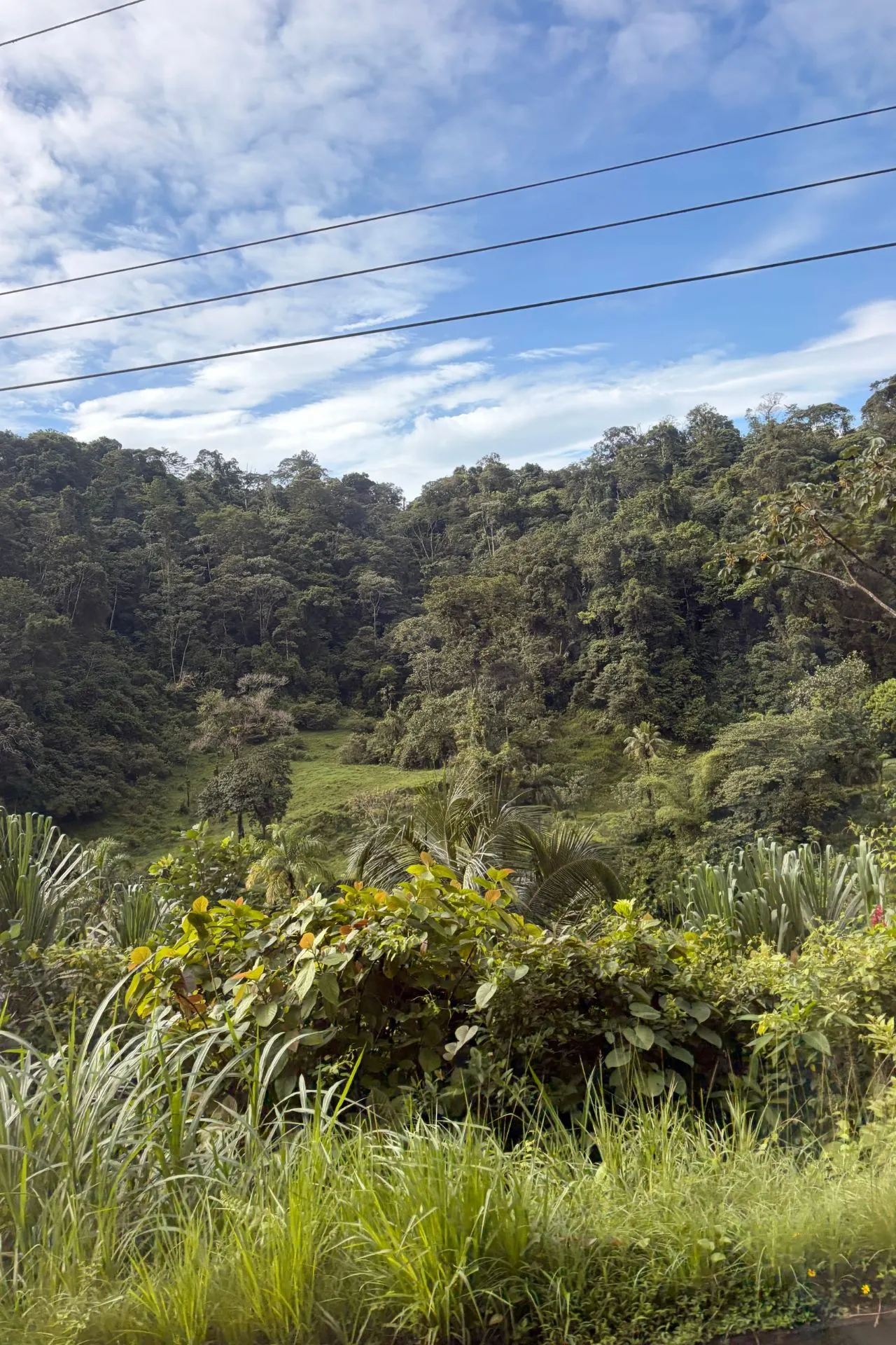 Groene heuvels en tropisch regenwoud langs de route door Costa Rica. Onderweg word je omringd door weelderige natuur, indrukwekkende landschappen en de biodiversiteit waar het land om bekendstaat.