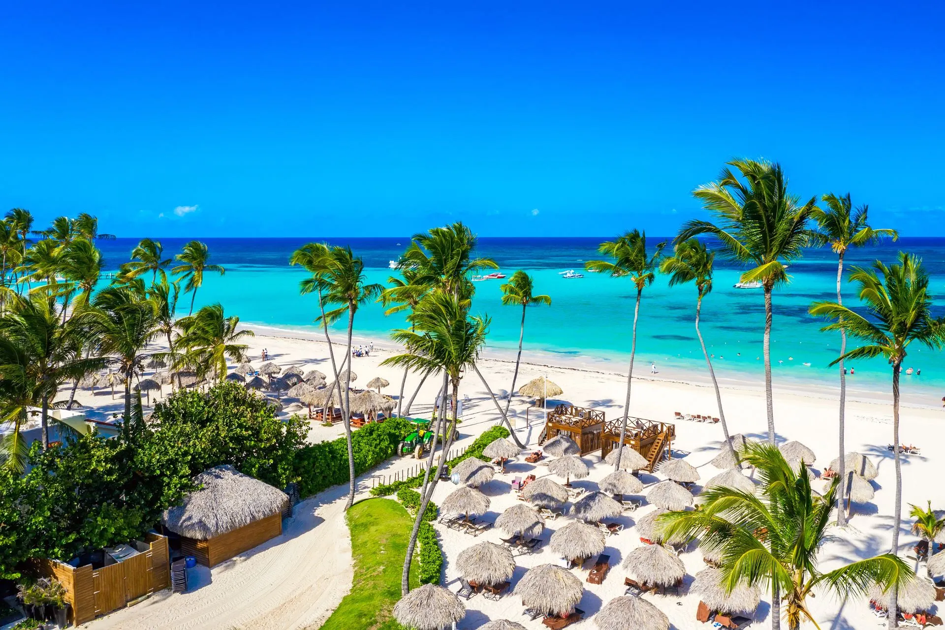 Palmbomen en het strand van Punta Cana, met helderblauw water en witte zandstranden
