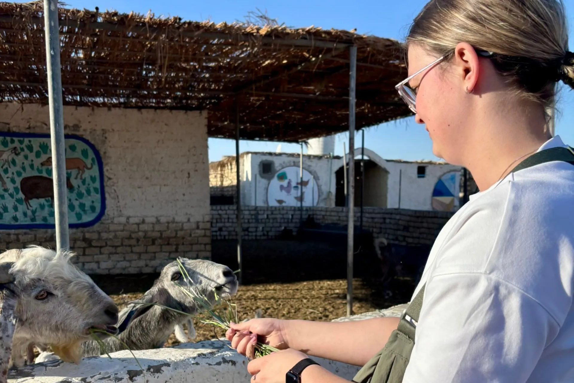 Bezoek aan een authentiek woestijndorp in Egypte waar dieren worden gevoerd, onderdeel van een jeepsafari.