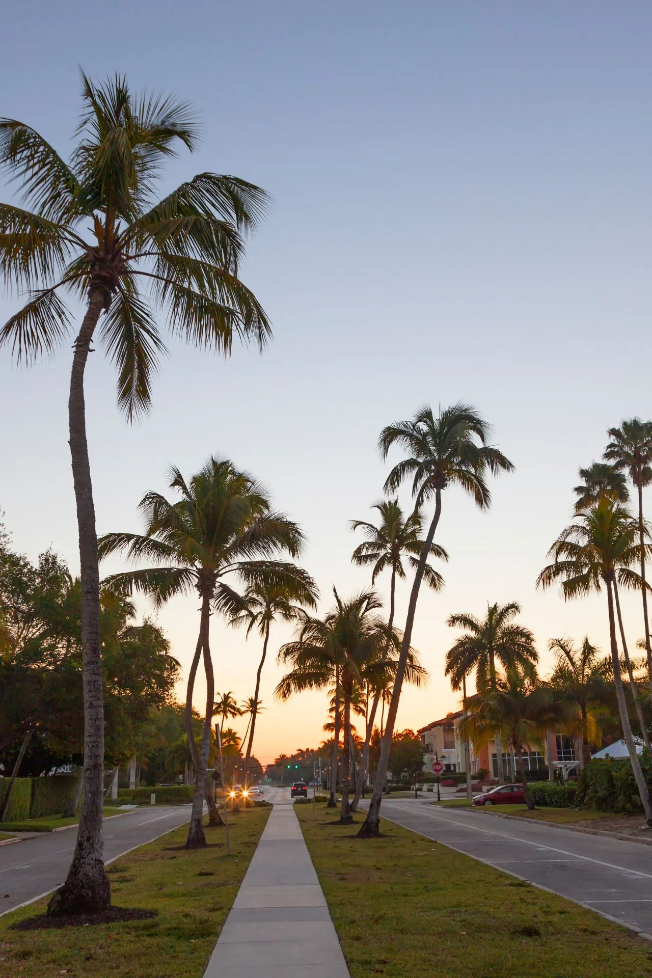 Straat in Naples, Florida, omringd door hoge palmbomen tijdens zonsondergang, met een heldere lucht en huizen aan beide zijden van de weg.