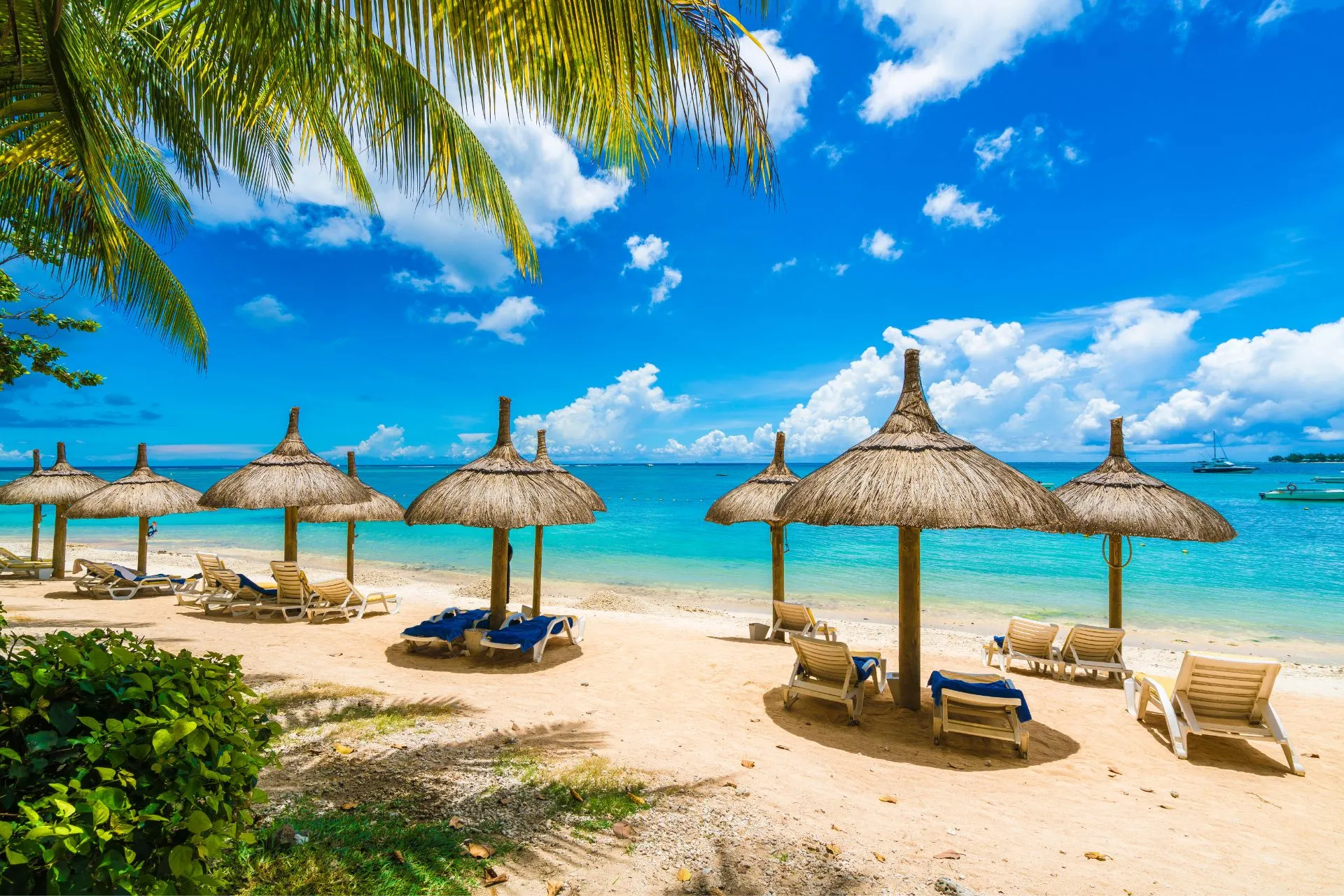 Zonnig strand met rieten parasols en ligstoelen aan het heldere blauwe water, omringd door tropische bomen en lucht vol witte wolken.