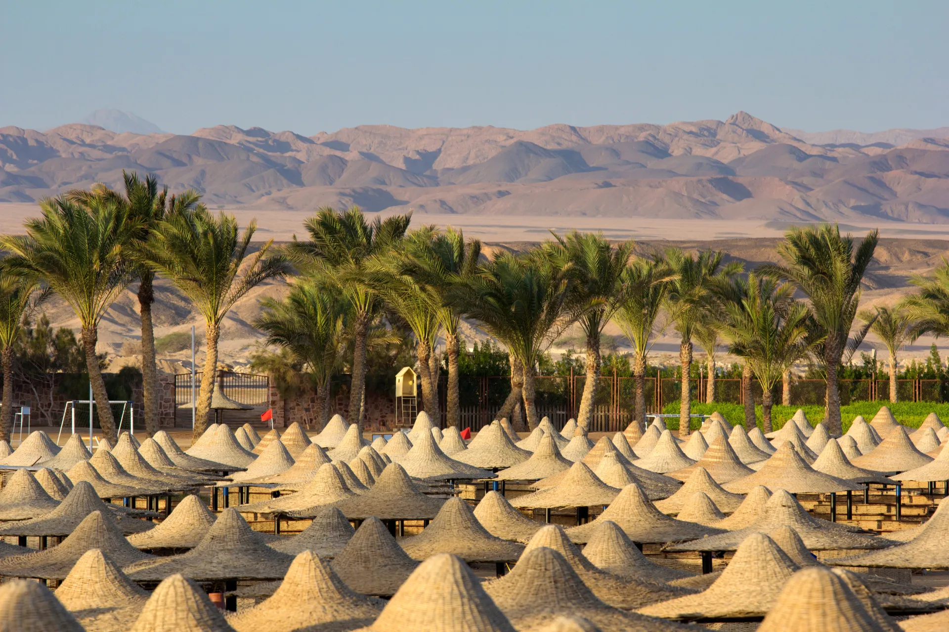 Parasols op het strand van Marsa Alam, omringd door palmbomen en bergen in de verte. De blauwe lucht heeft een lichte grijze tint, wat een rustige sfeer geeft.