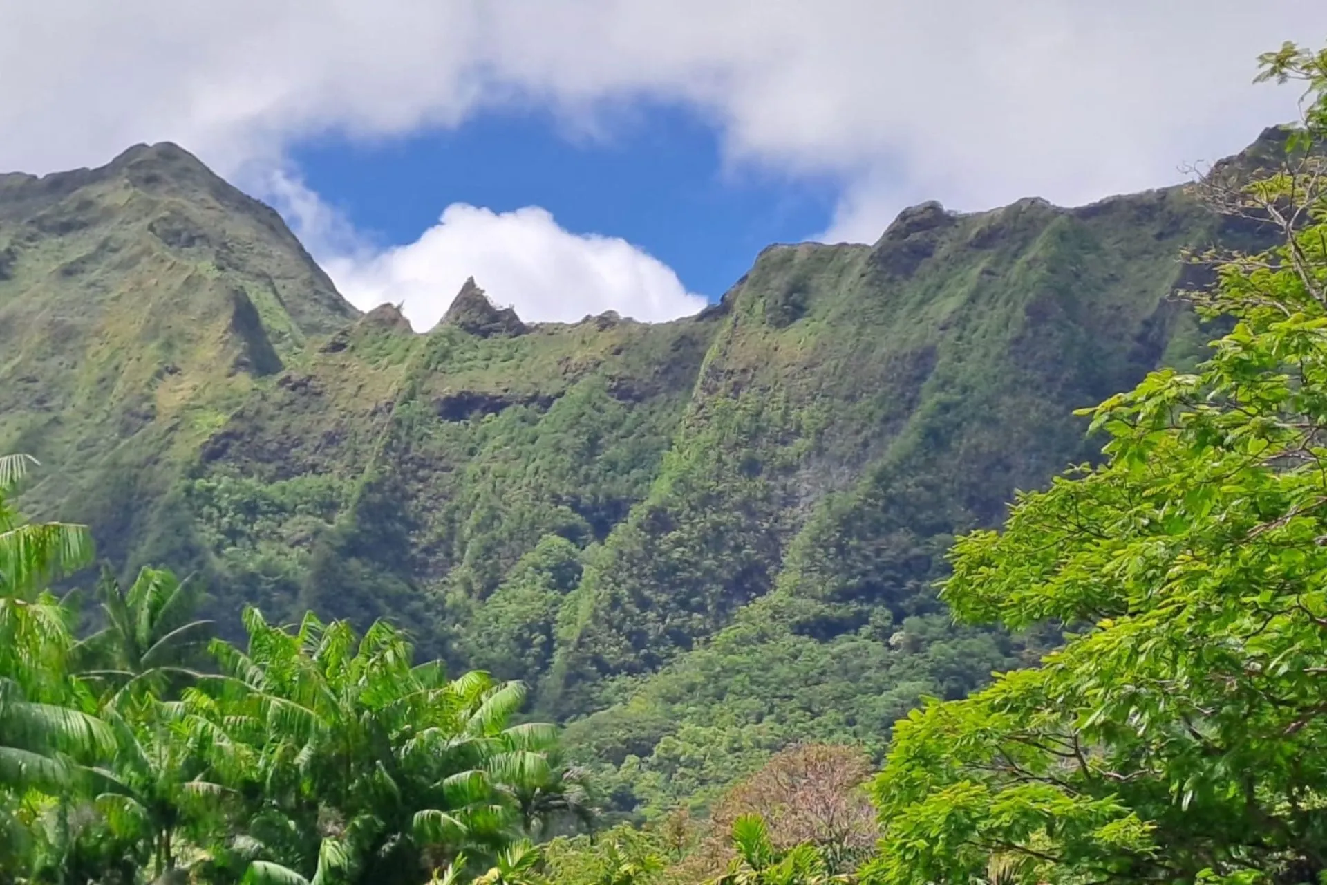 Groene bergen en weelderige jungle in Kualoa Ranch, Oahu, Hawaii, een populaire filmlocatie.
