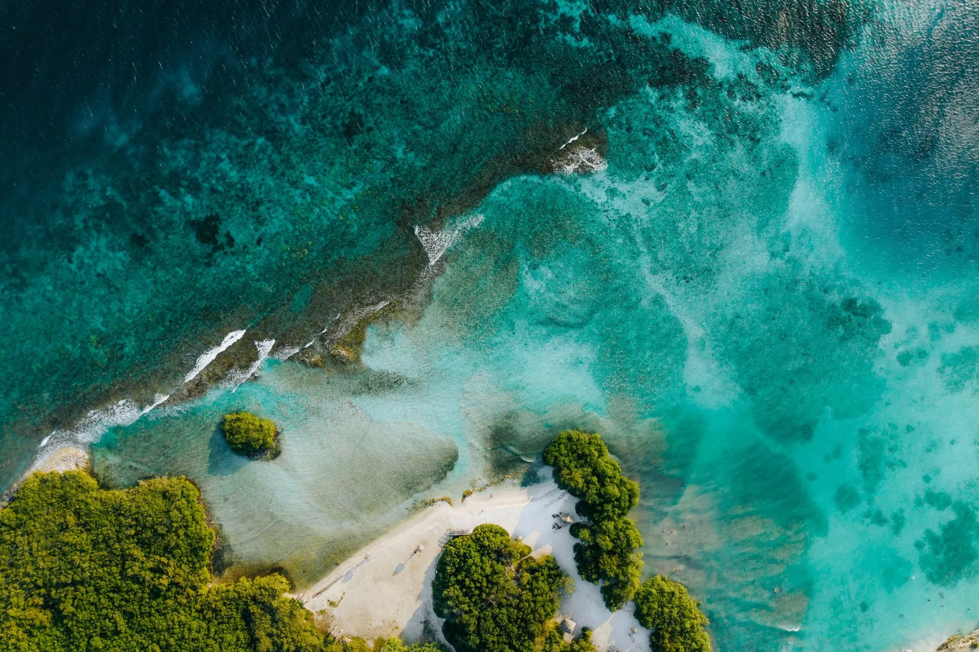 Een adembenemend luchtbeeld van de kust van Aruba, met kristalhelder turquoise water, koraalriffen en witte zandstranden. Groene mangroven sieren de kustlijn, terwijl de zee zachtjes tegen de riffen en het strand klotst. Een idyllisch, tropisch landschap vol natuurlijke schoonheid.