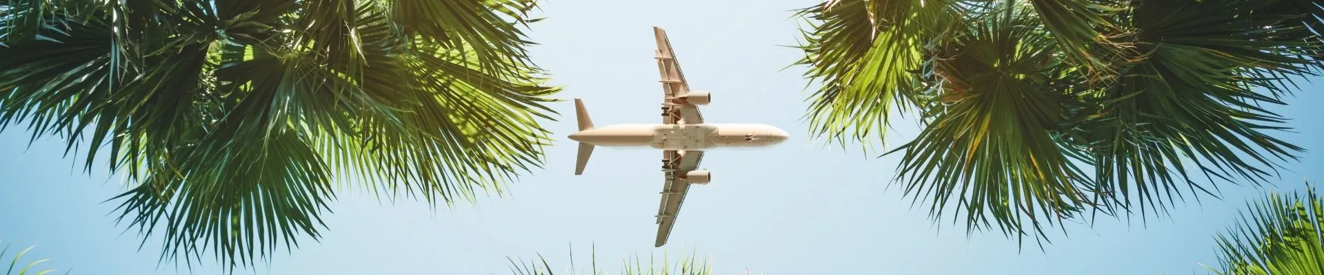 Vliegtuig vliegt tussen tropische palmbomen tegen een heldere blauwe lucht. De foto roept direct het gevoel van vakantie, verre reizen en zonbestemmingen op en past perfect bij content over vliegvakanties, tropische eilanden en exotische bestemmingen wereldwijd.
