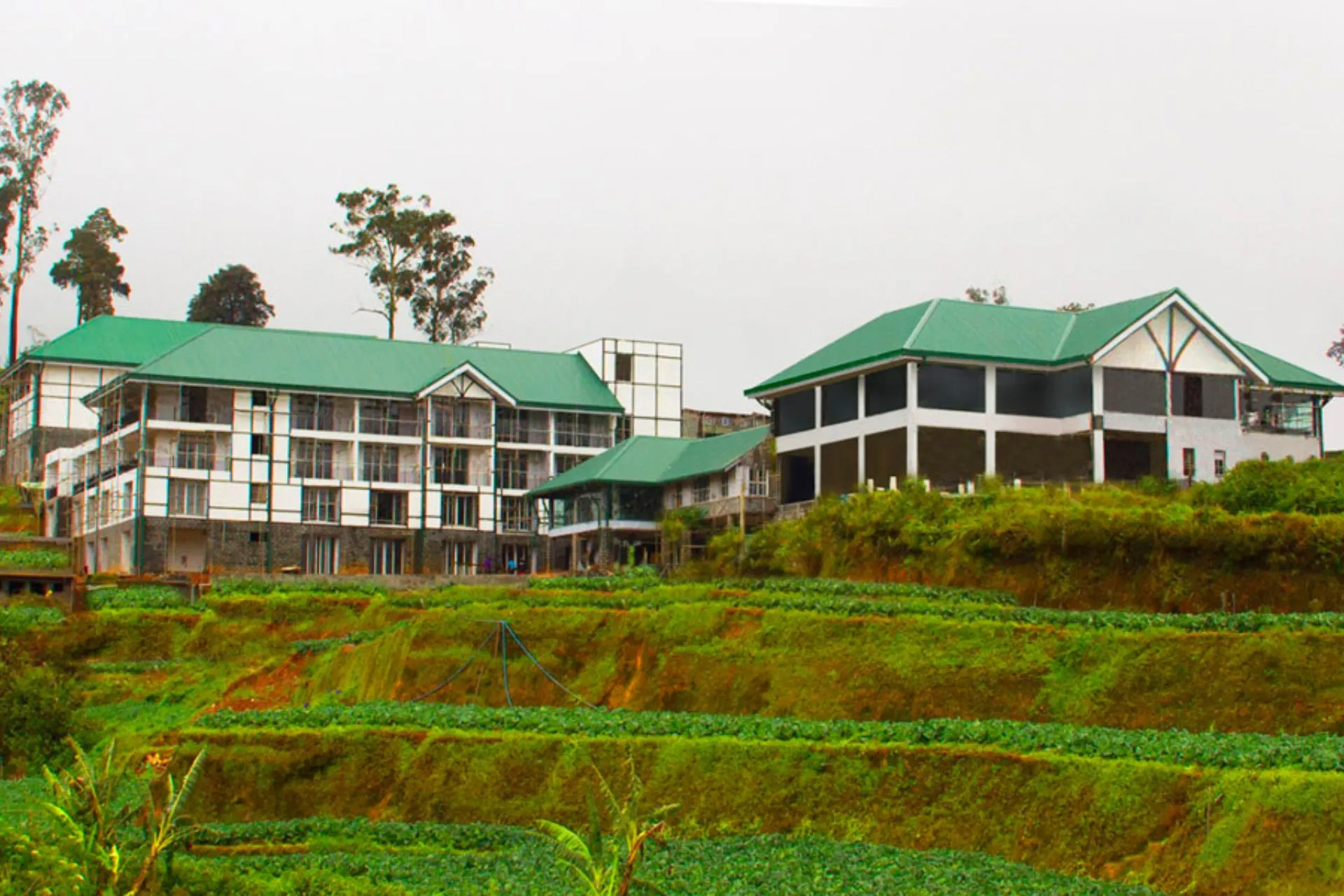 Het hoofdgebouw van The Blackpool Hotel Nuwara Eliya, gelegen te midden van theeplantages en glooiende heuvels, met groene daken en klassieke bouwstijl in een landelijke setting.